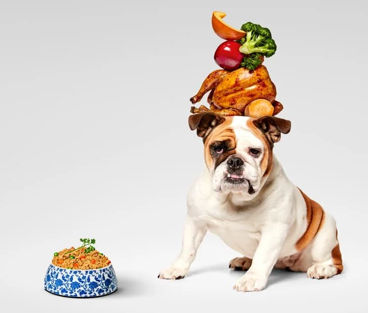 A quick Google search for supplements for your dog will bring up results for itchy skin, joints, heart health, and even supplements to add to homemade diets. But do you need to give your pup these supplements? You may notice a wide variety of brands…