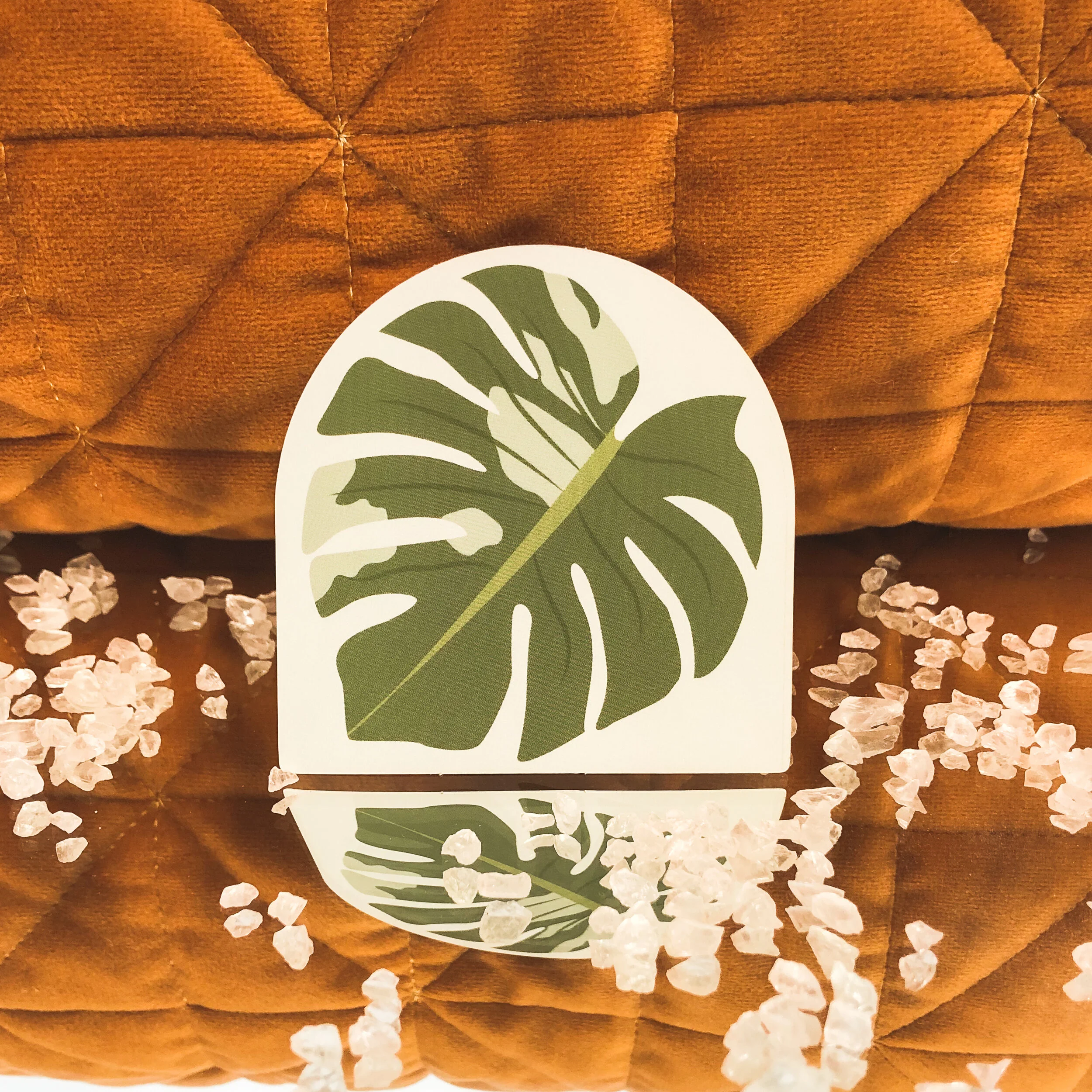 variegated monstera sticker.