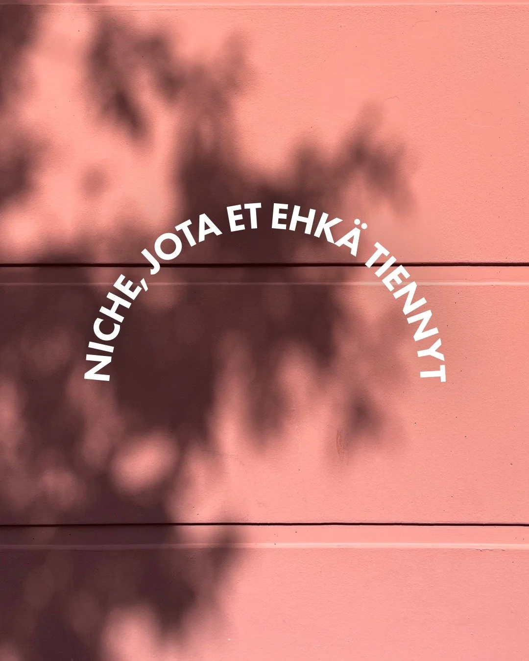 🔥Mik&auml; on sun piilossa oleva niche?

3 erikoisosaamisaluetta, joita et ehk&auml; Studio Behmist&auml; tiennyt! Tunnet mut ehk&auml; AD:na, taittajana tai kuvittajana, mutta tiesitk&ouml;, ett&auml; autan yrityksi&auml; my&ouml;s n&auml;iss&auml;
