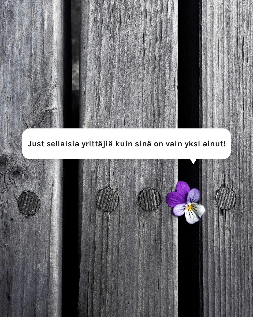 Aina tulee olemaan useita:
tapoja tehd&auml;,
n&auml;k&ouml;kulmia,
ratkaisuja,
tilanteita,
vinkkej&auml;.

Mutta on vain yksi sin&auml;❣️&Auml;l&auml; siis liikaa mieti yritt&auml;j&auml;n arjessa sit&auml;, miten muut yritt&auml;j&auml;t asiat ratk