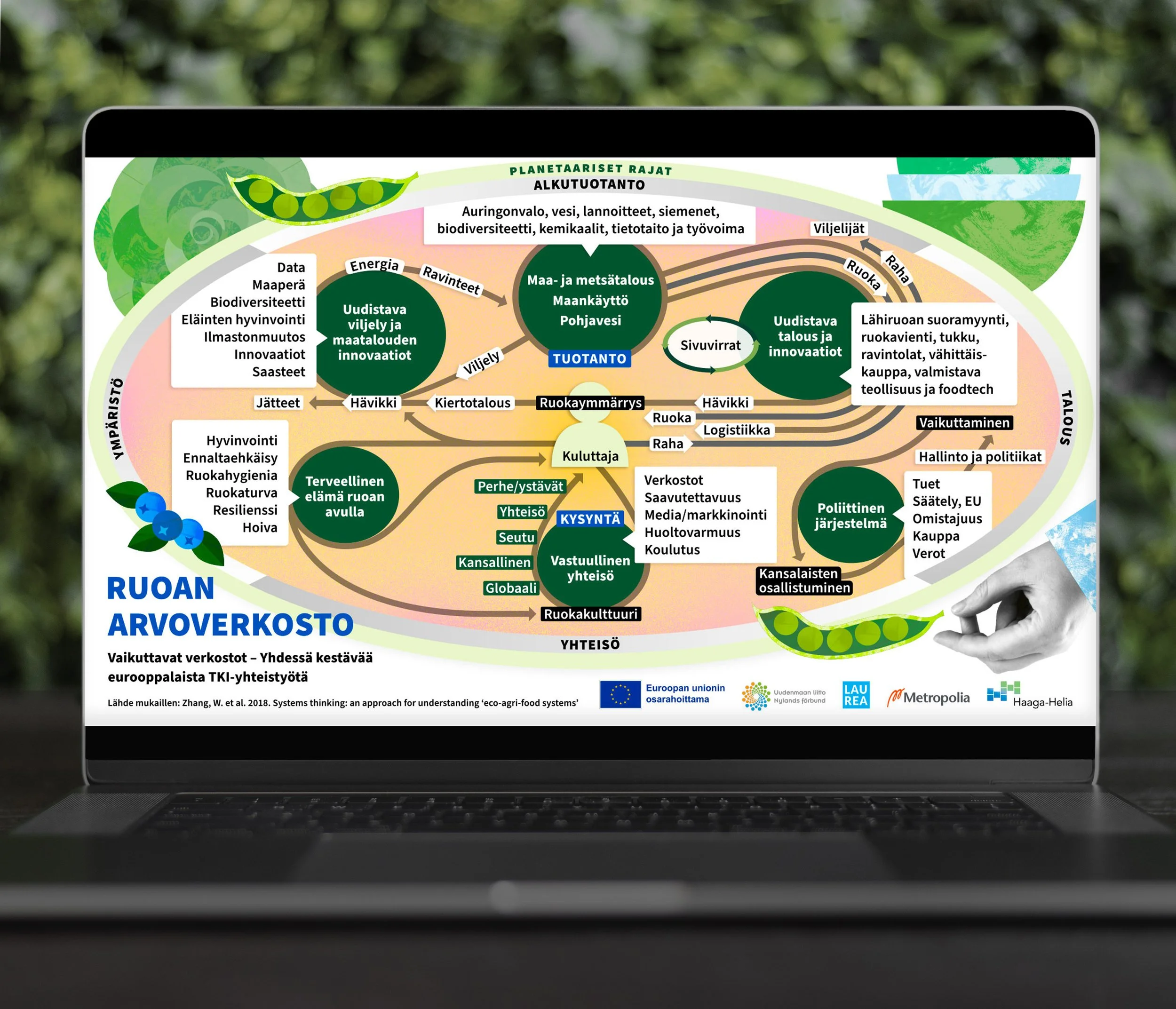 Vaikuttavat verkostot hanke, ruoan arvoverkoston visualisointi.