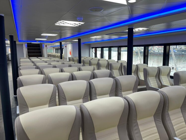 WM 1000 Executive_passenger seats business class_grey.jpeg