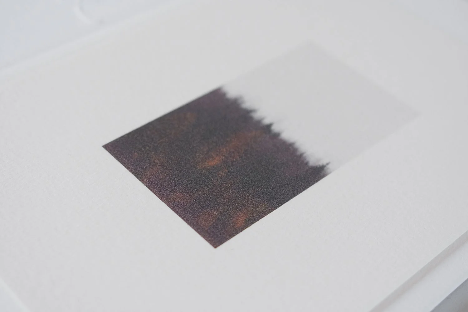 tlb-packshot-5.jpg
