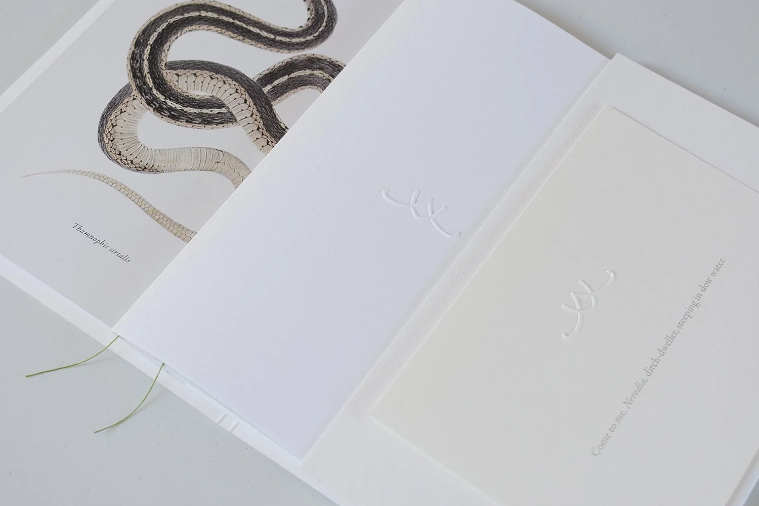 tlb-packshot-2.jpg