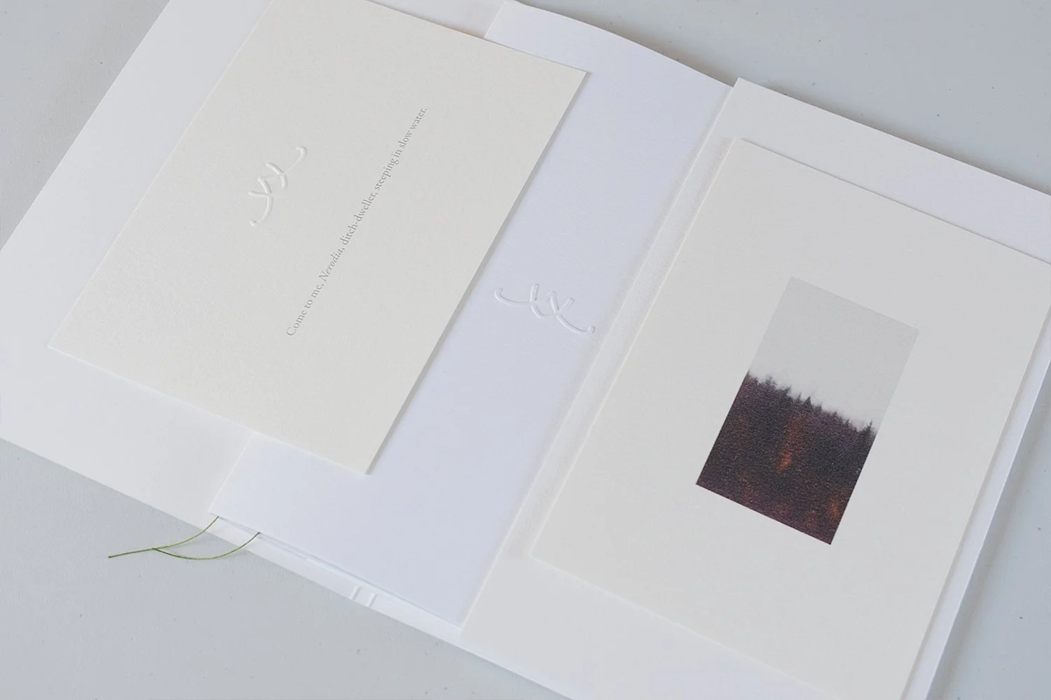 tlb-packshot-4.jpg
