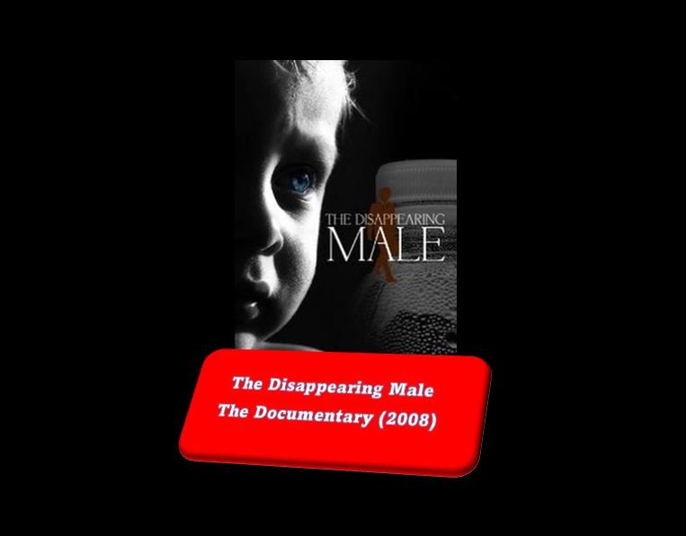 The Disappearing Male - The Documentary (2008)