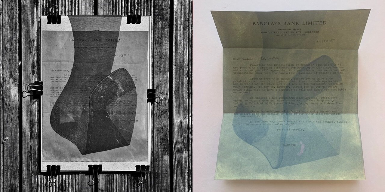 Anthotype in Exposure &amp; Final Print