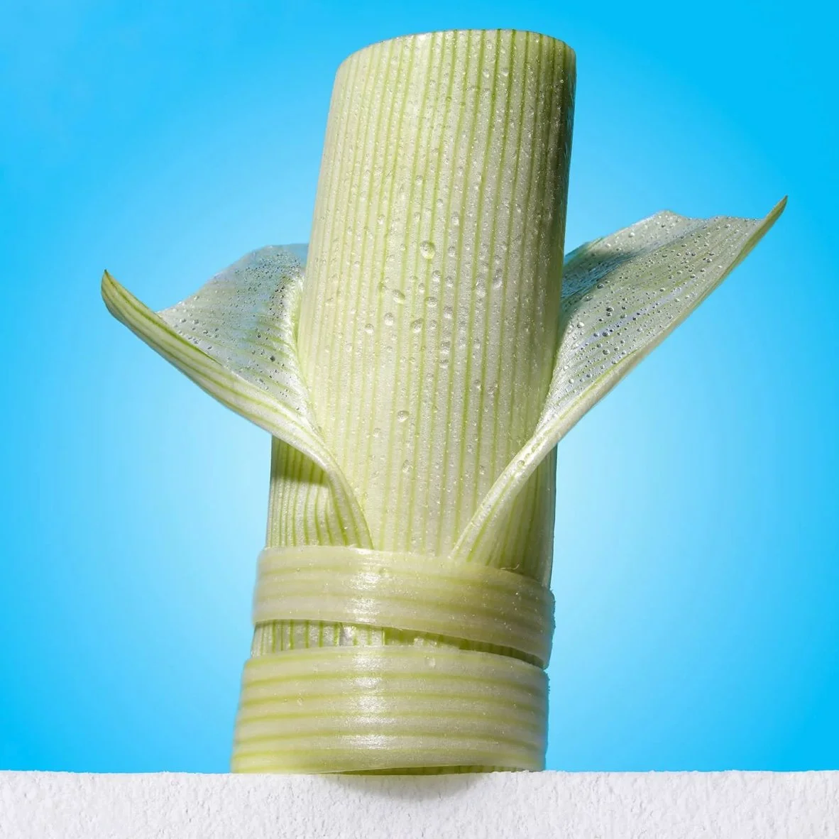 Capture d’écran 2025-12-16 à 16.46.05.jpg