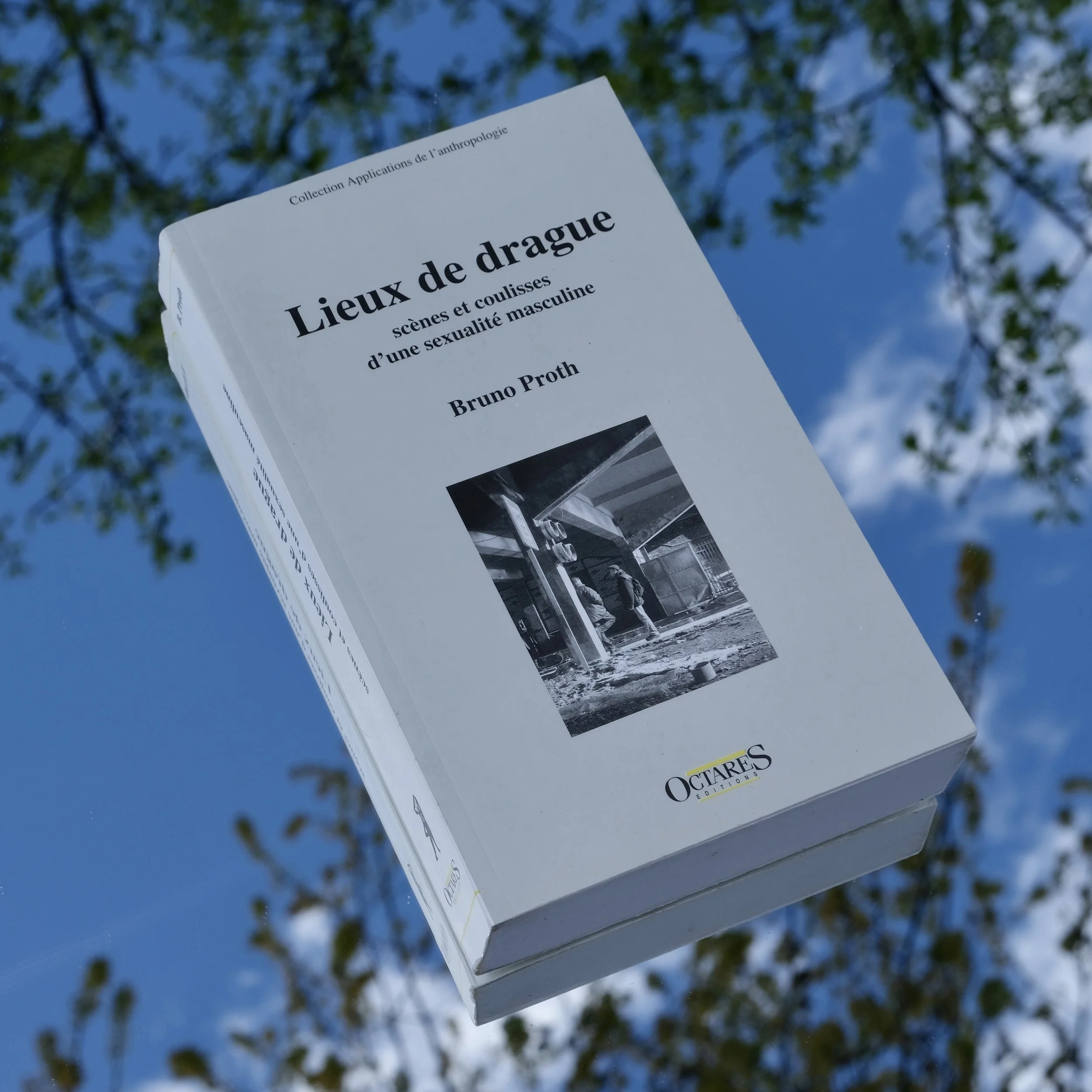 Lieux de drague. Scène et coulisses d'une sexualité masculine