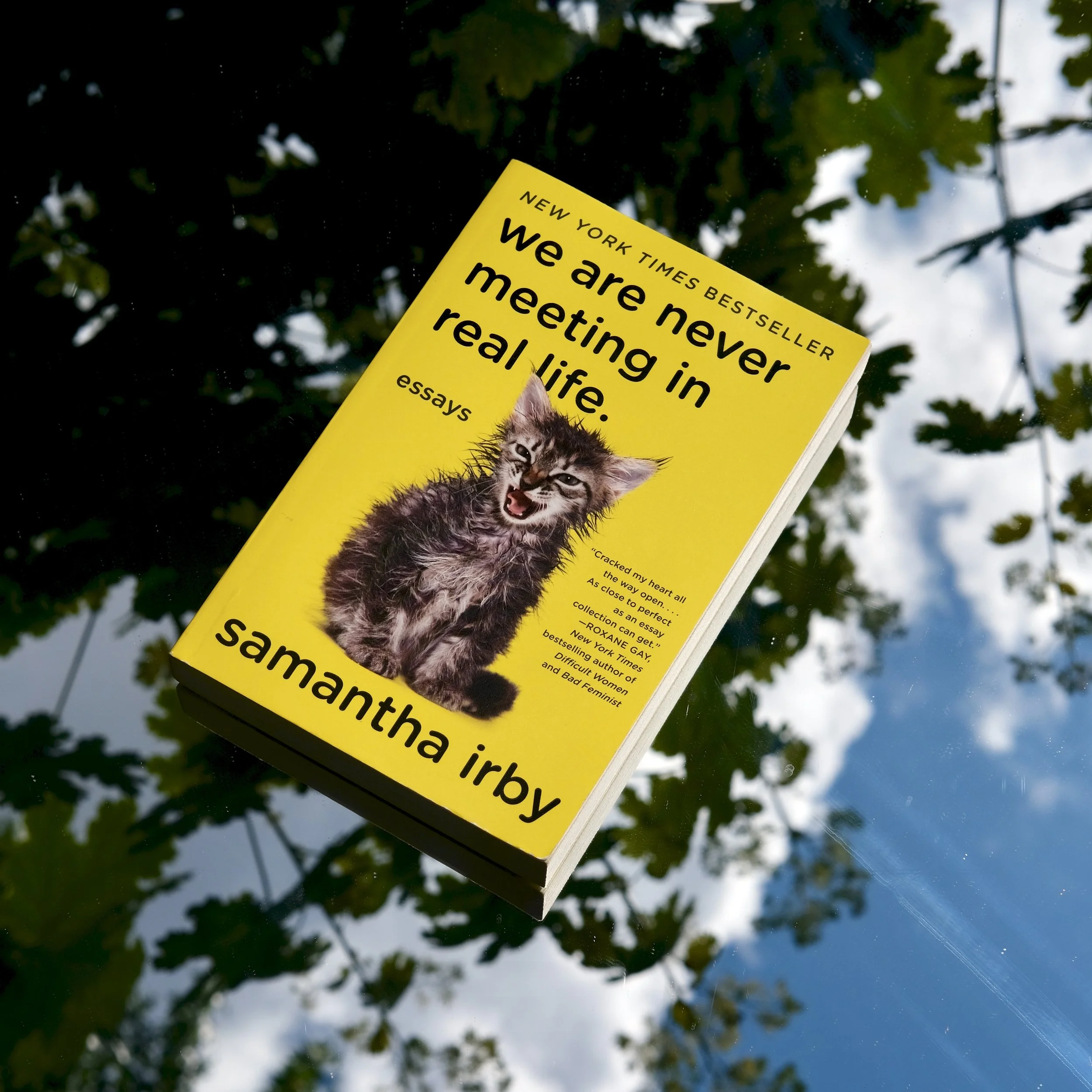 We are never meeting in real life.