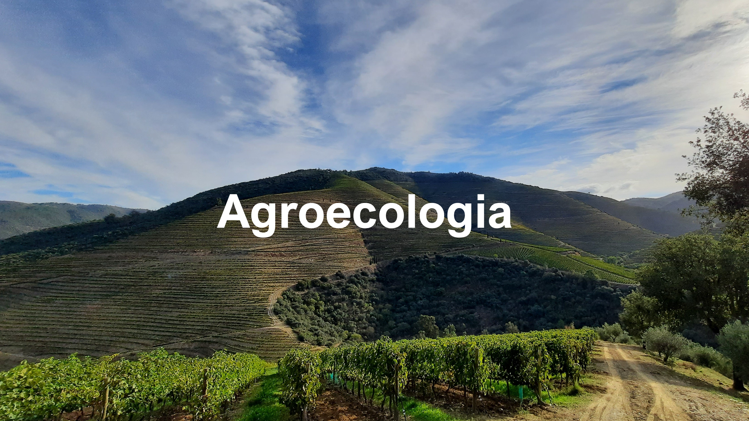 Agroecologia NBI.png