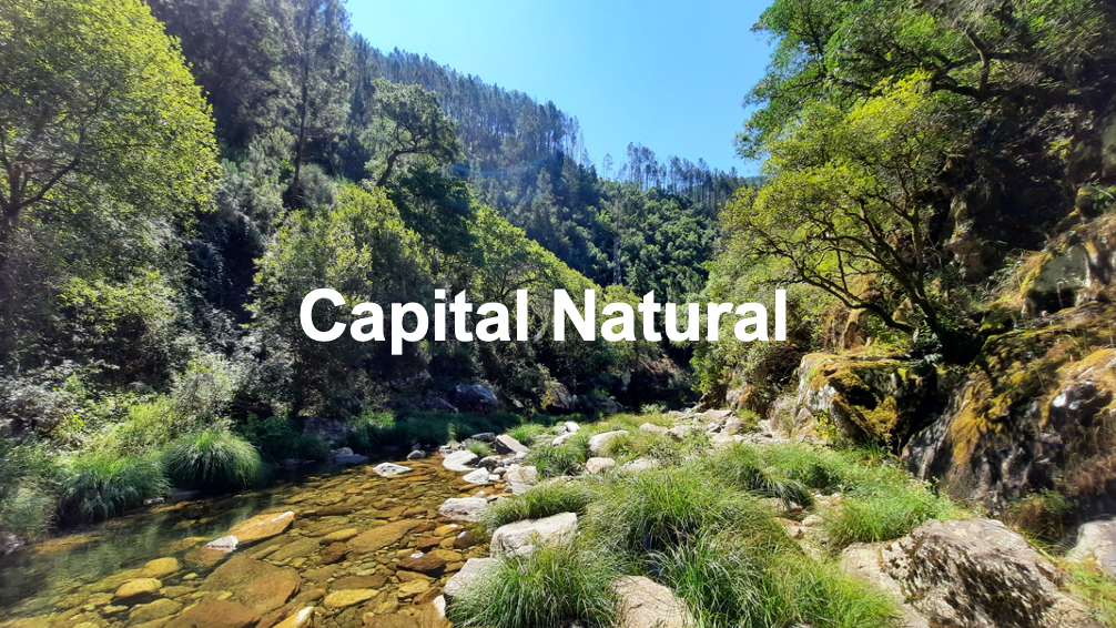 Capital Natural NBI.png