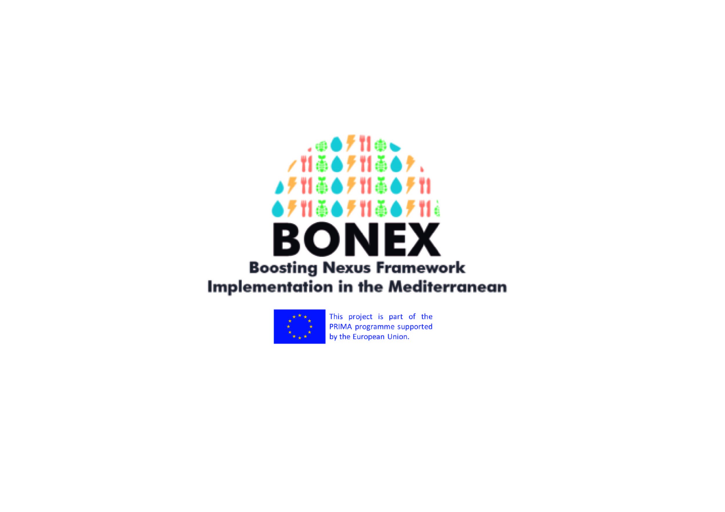 logo bonex-02.jpg