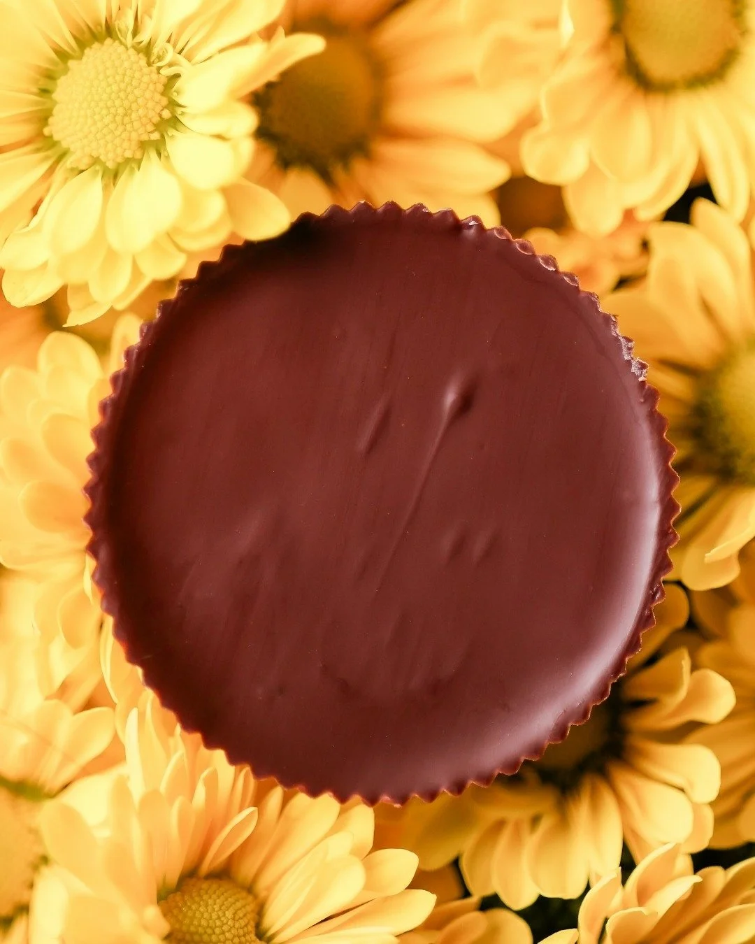 An everyday favorite, done thoughtfully!

Our Peanut Butter Cup: rich chocolate paired with a creamy, nut-forward filling, finished with just the right touch of salt.