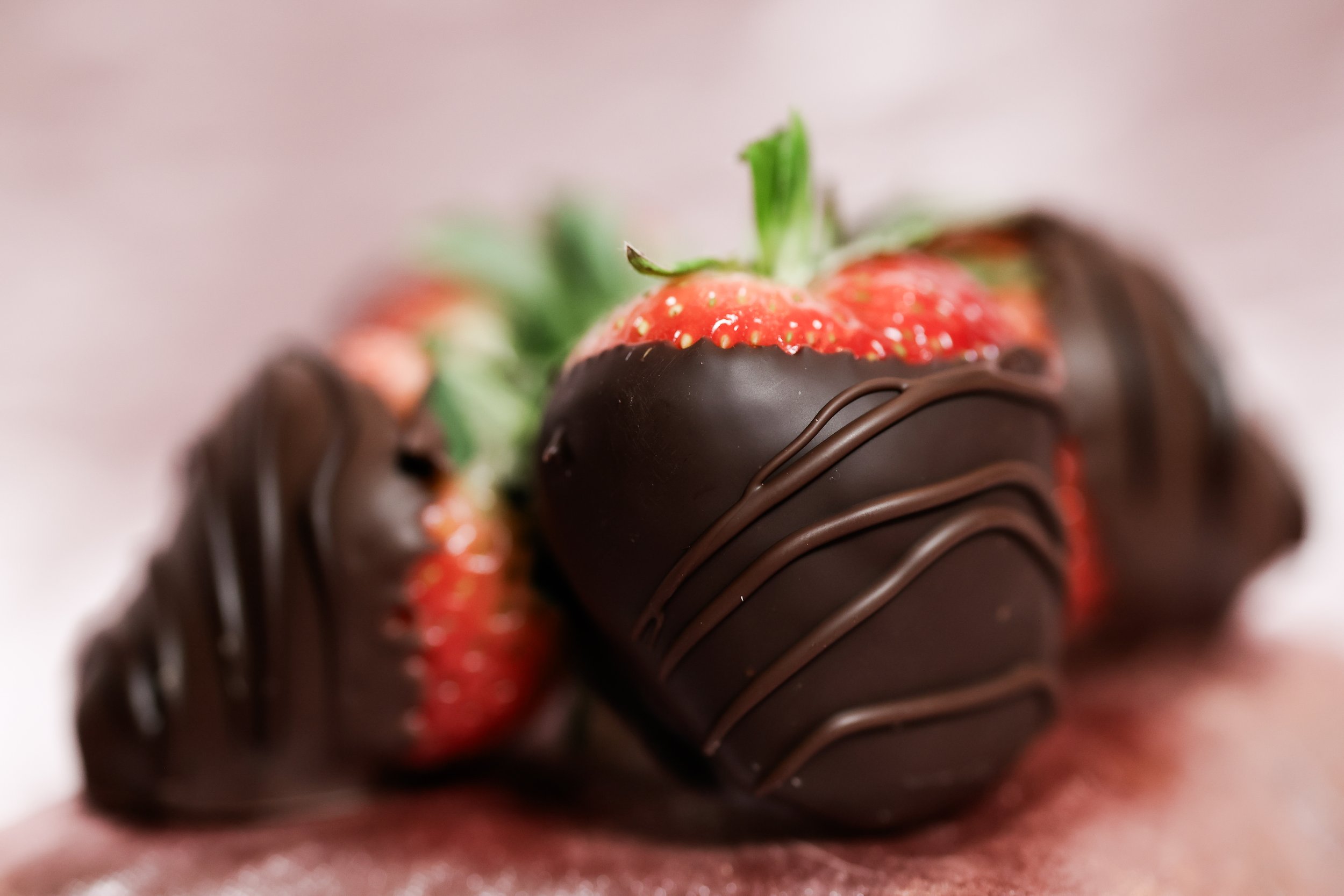 SBD x Videri_February 2026_114.jpg