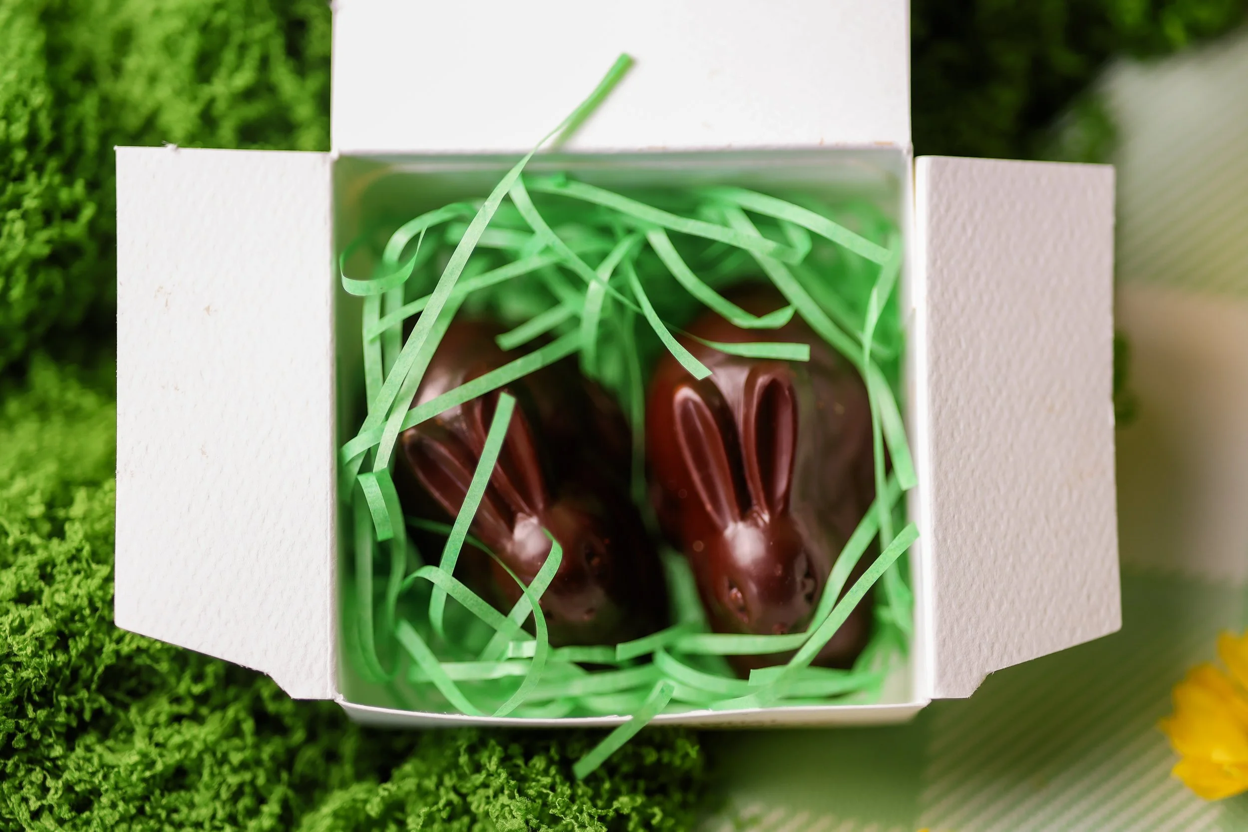 SBD x Videri_March 2026_133.jpg