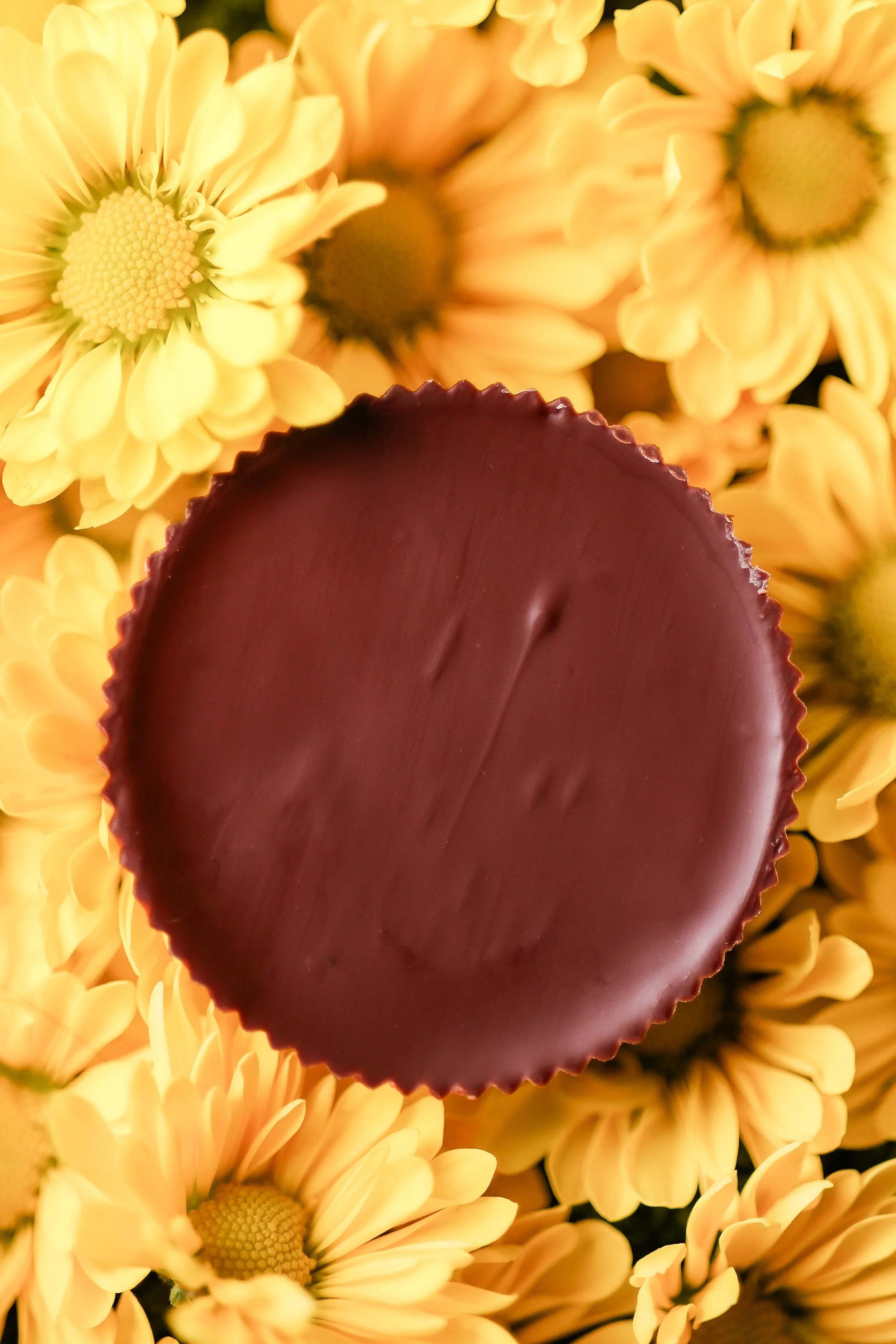 Peanut Butter Cup