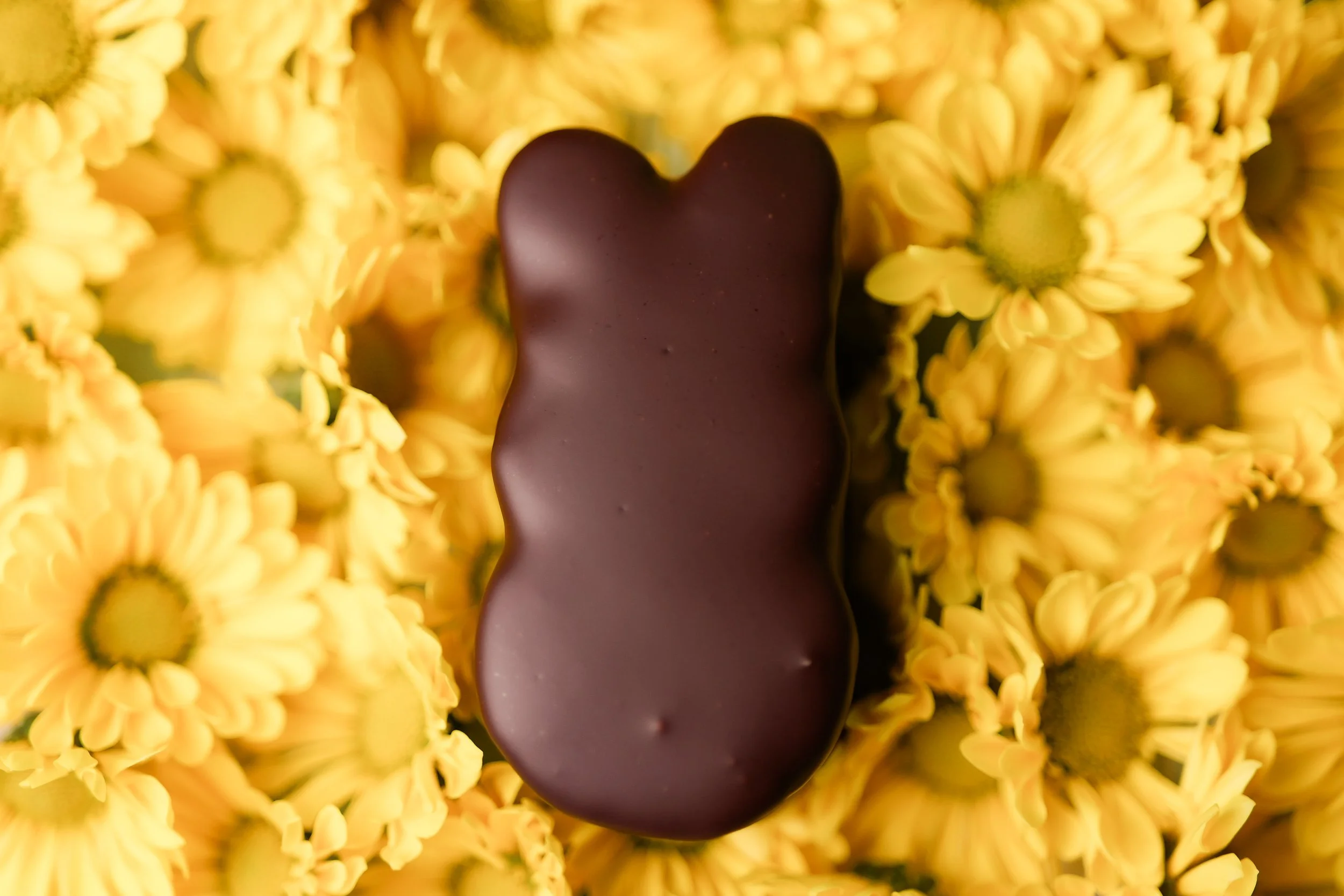 SBD x Videri_March 2026_051.jpg