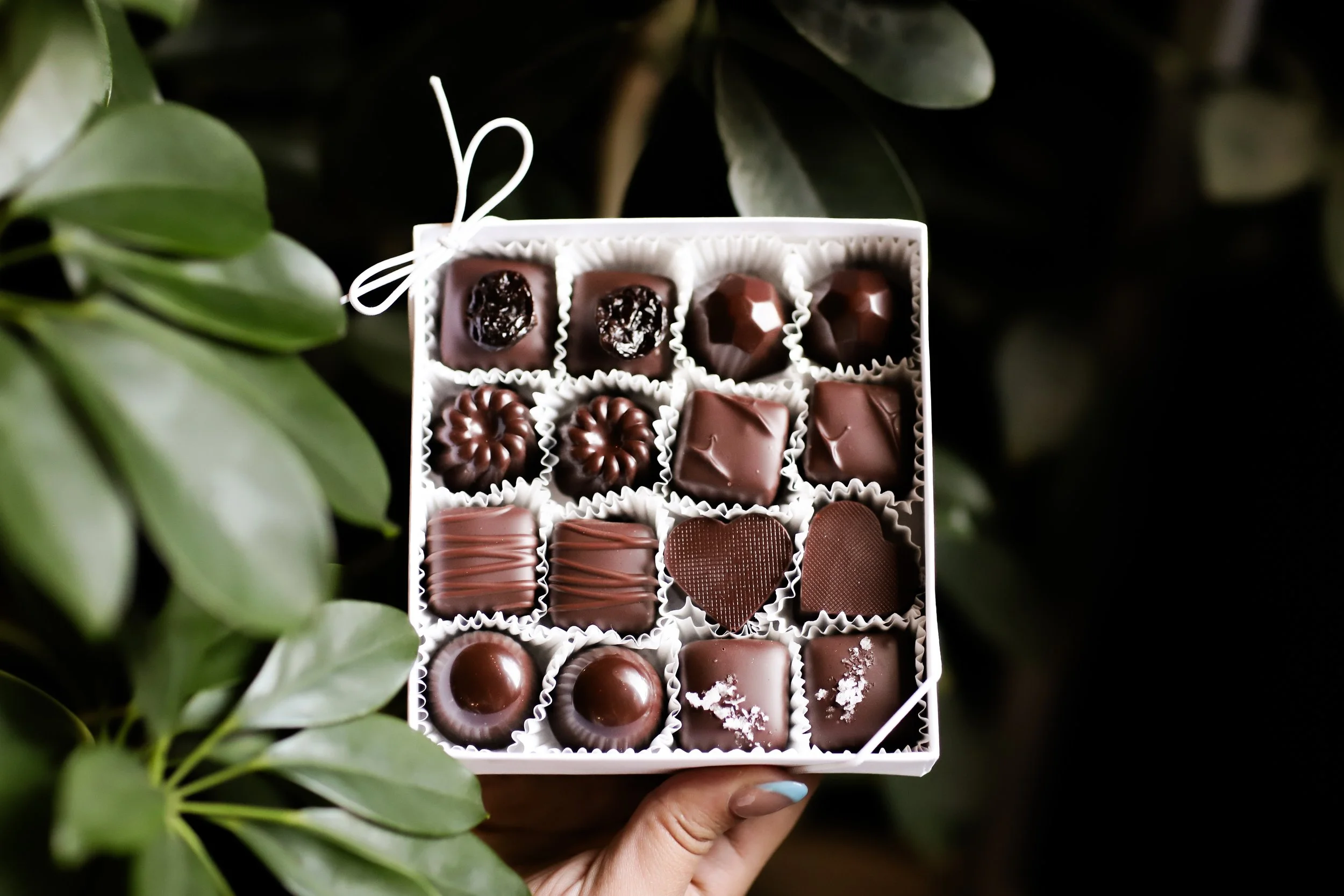 SBD x Videri_June '24_068.jpg