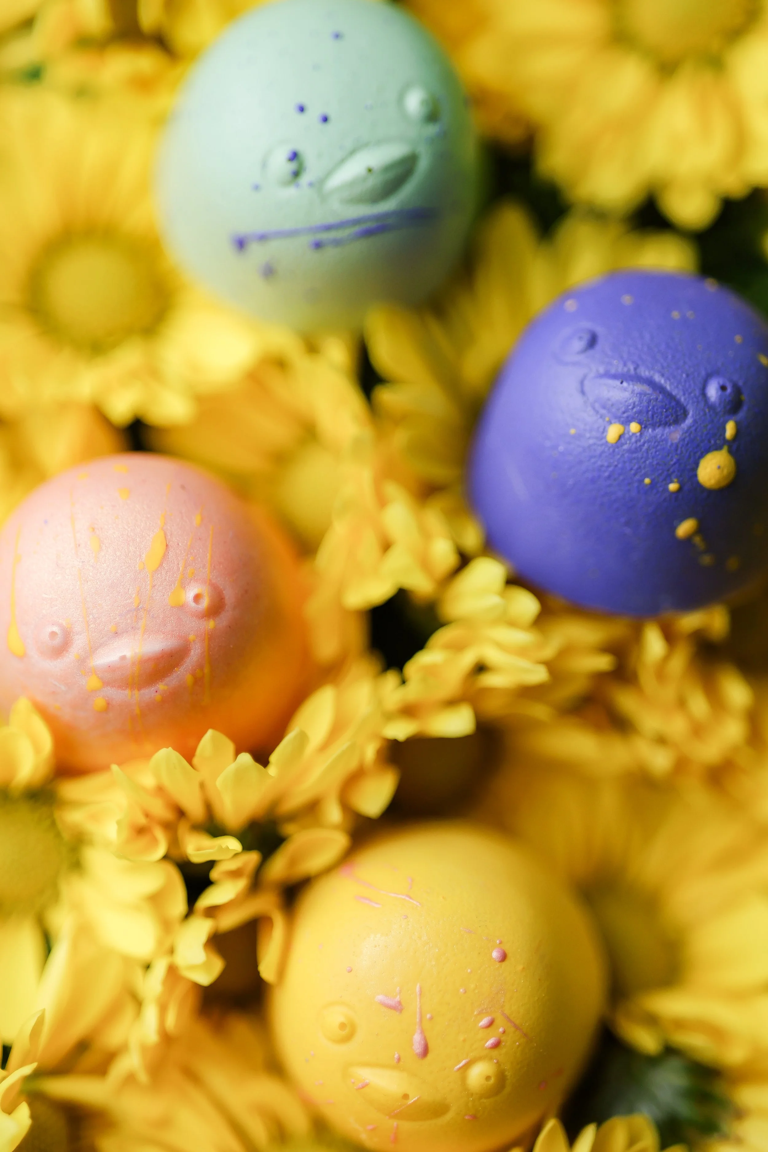 SBD x Videri_March 2026_162.jpg