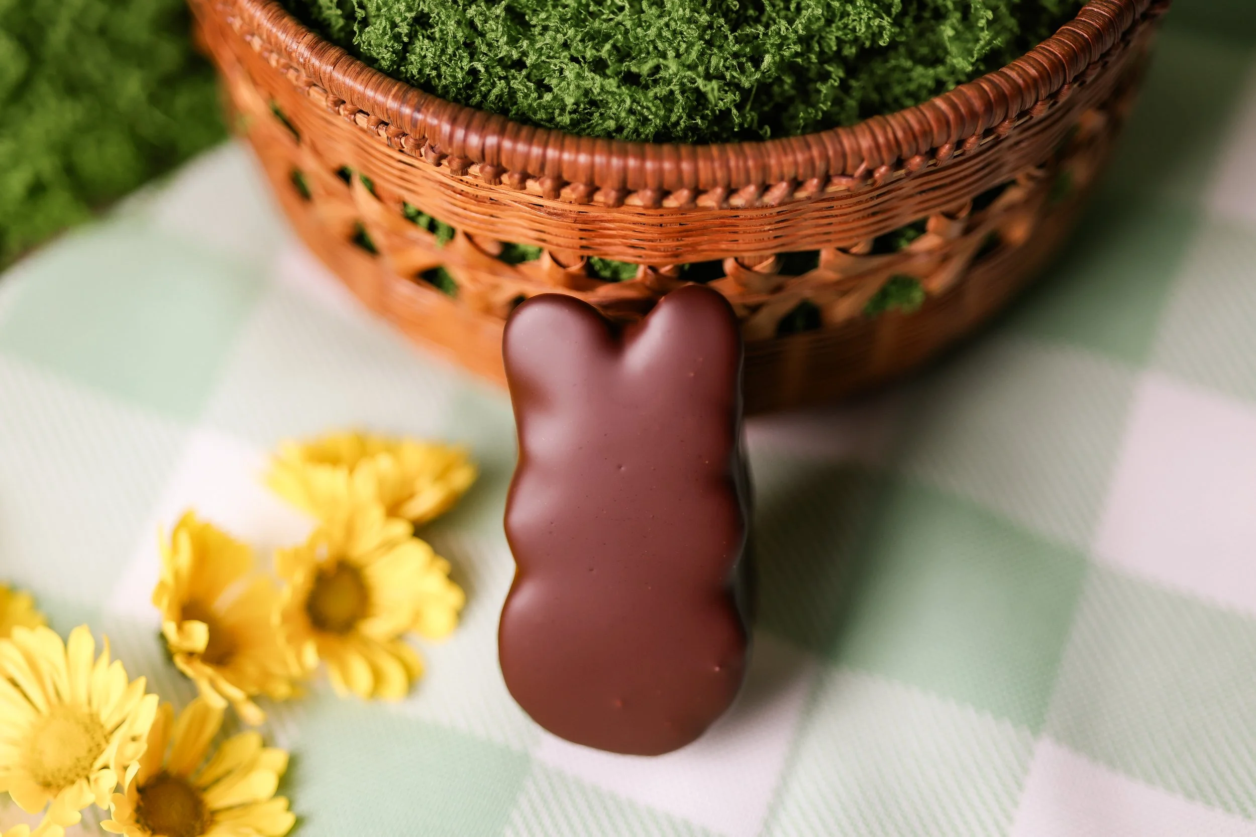 Chocolate Covered Marshmallow Bunny