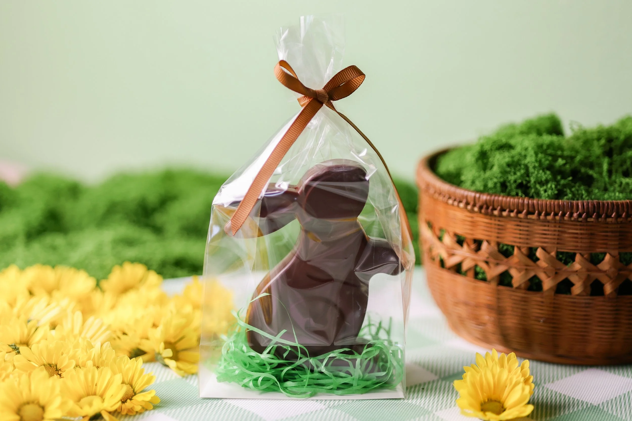 SBD x Videri_March 2026_101.jpg