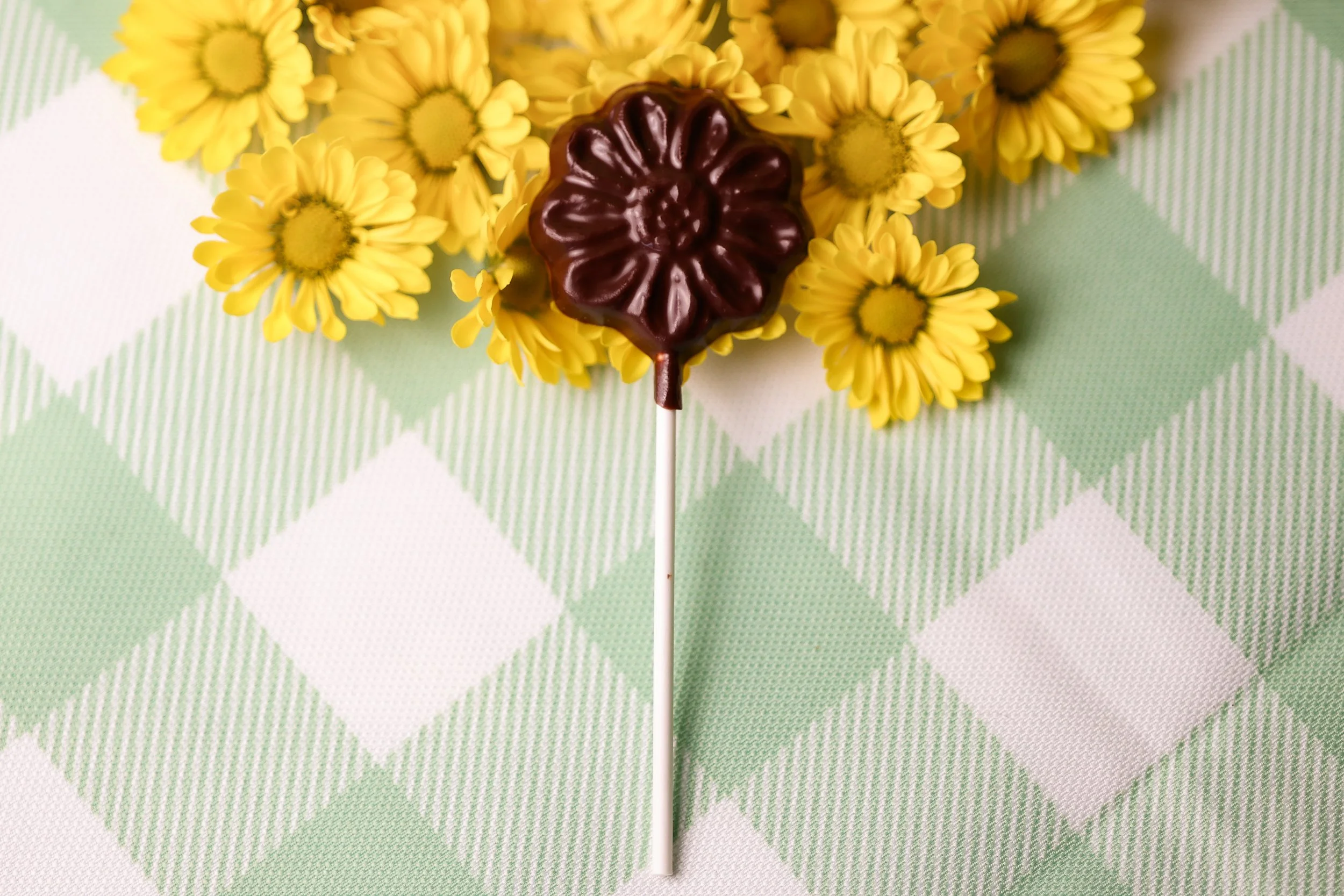 SBD x Videri_March 2026_044.jpg