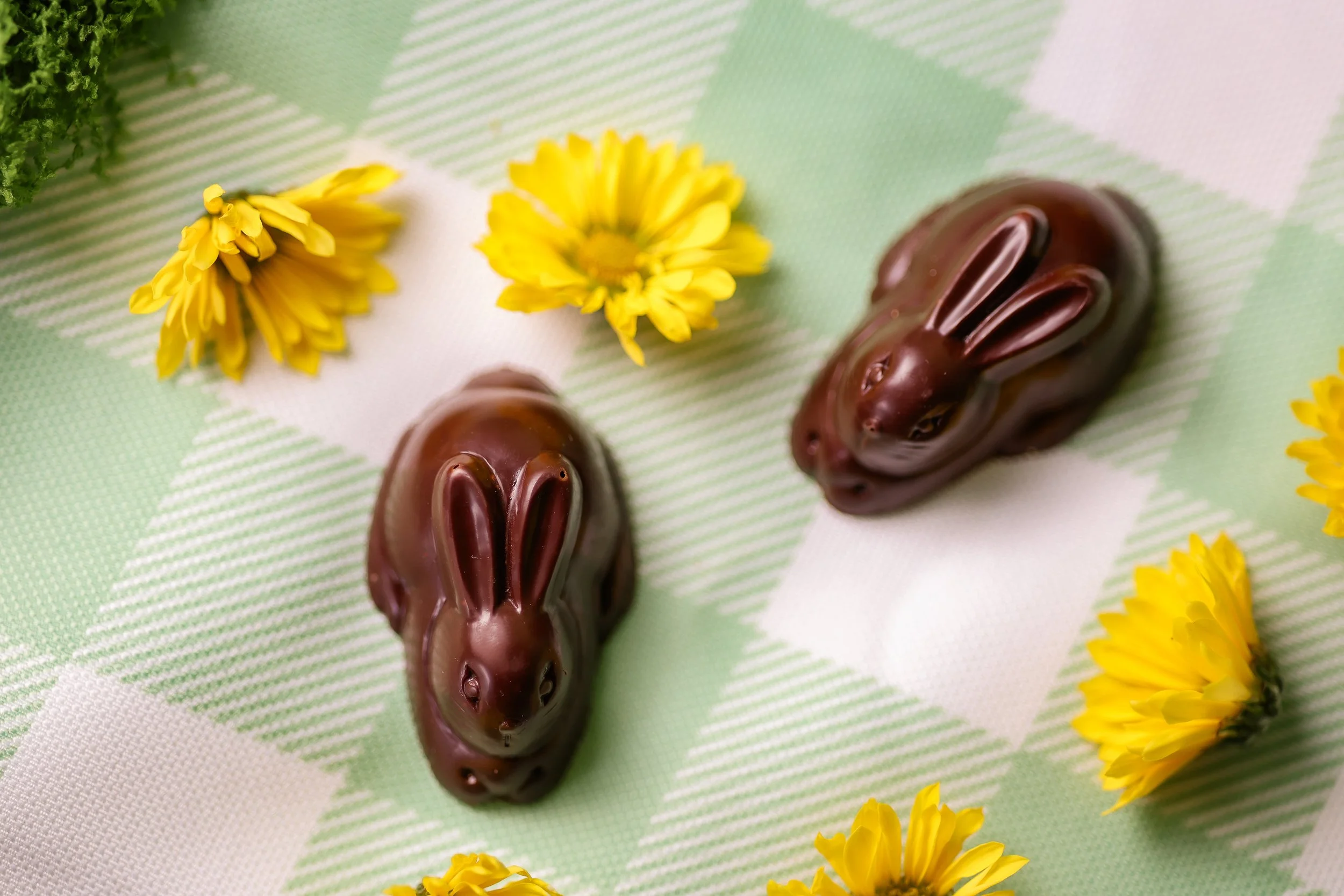 SBD x Videri_March 2026_135.jpg