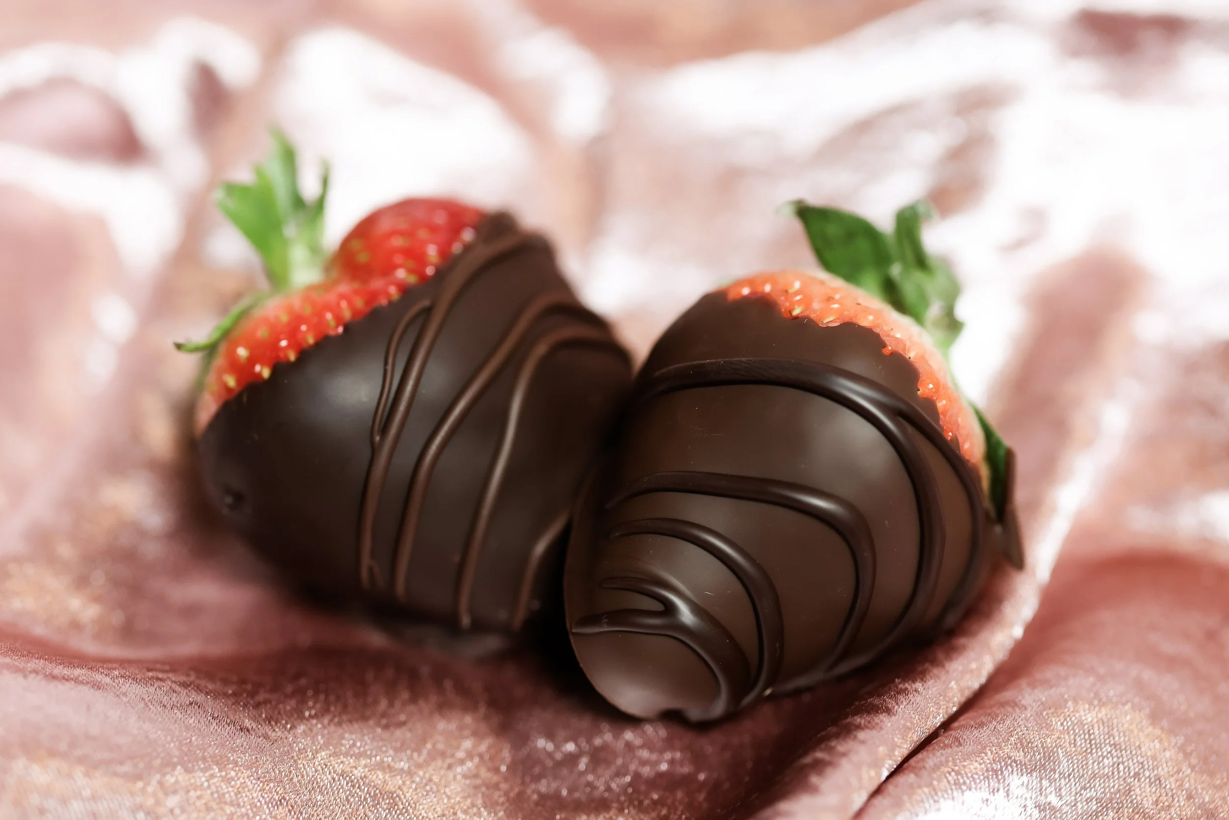 SBD x Videri_February 2026_118.jpg