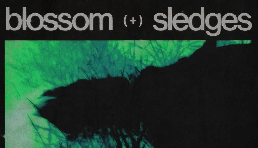 BLOSSOM, Sledges, Nocturne's Kiss, Current Vision