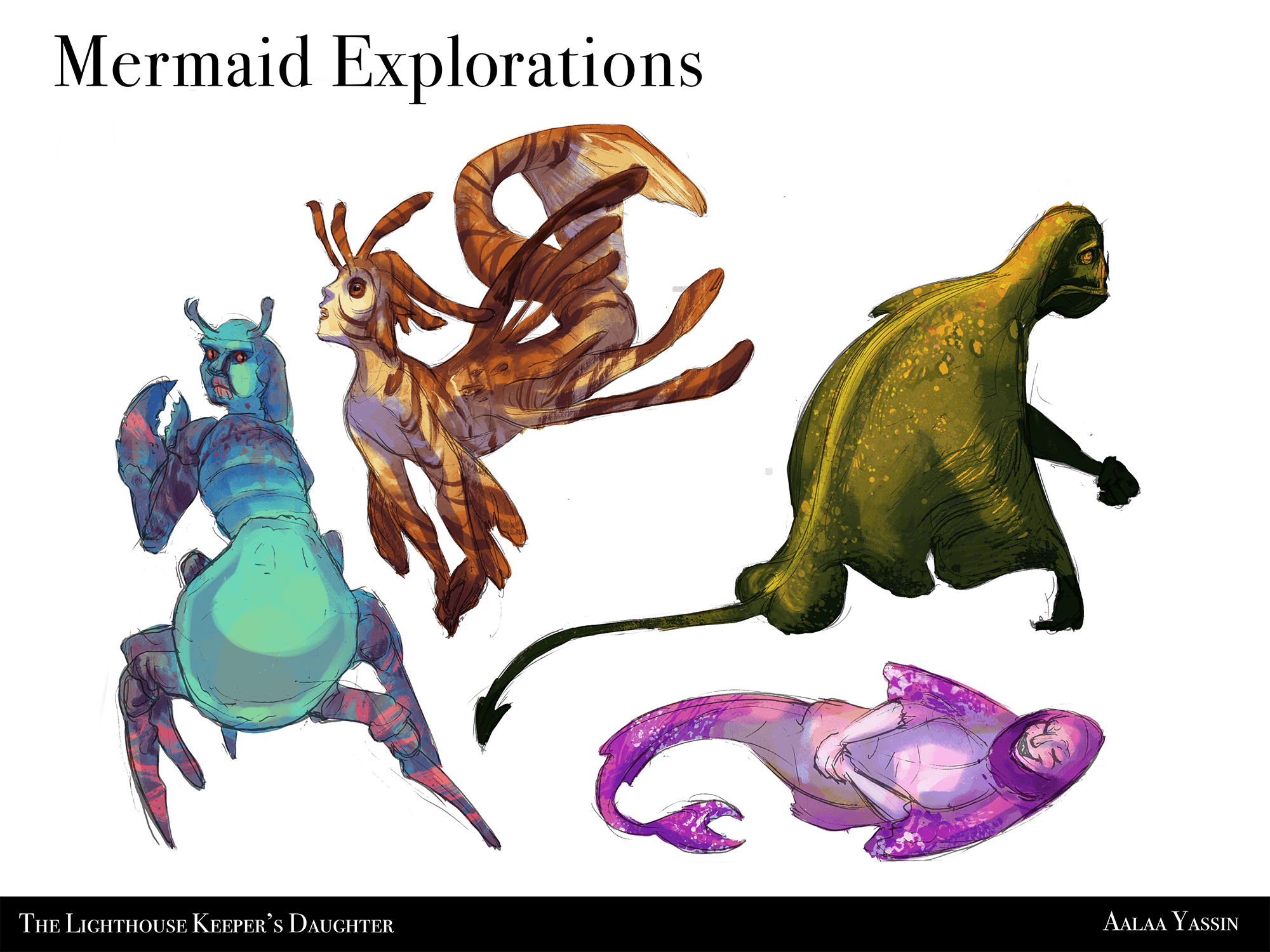 mer exploration colour compressed.png
