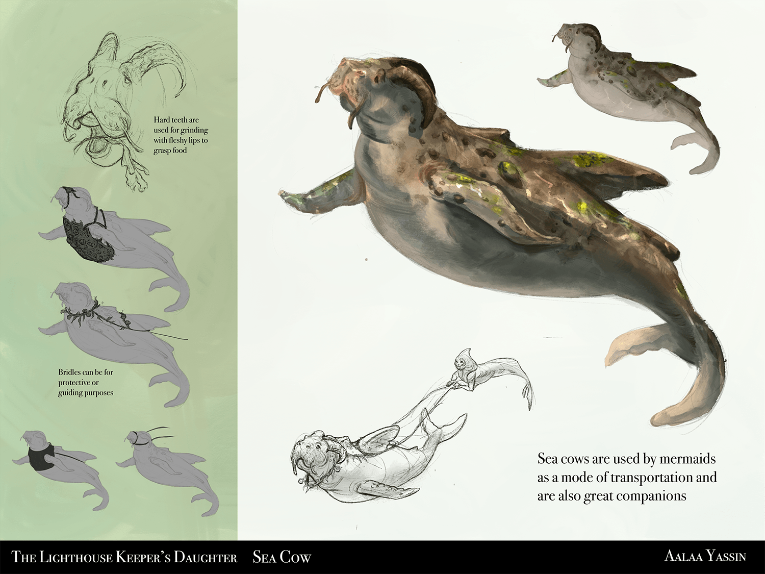 seacow compressed.png