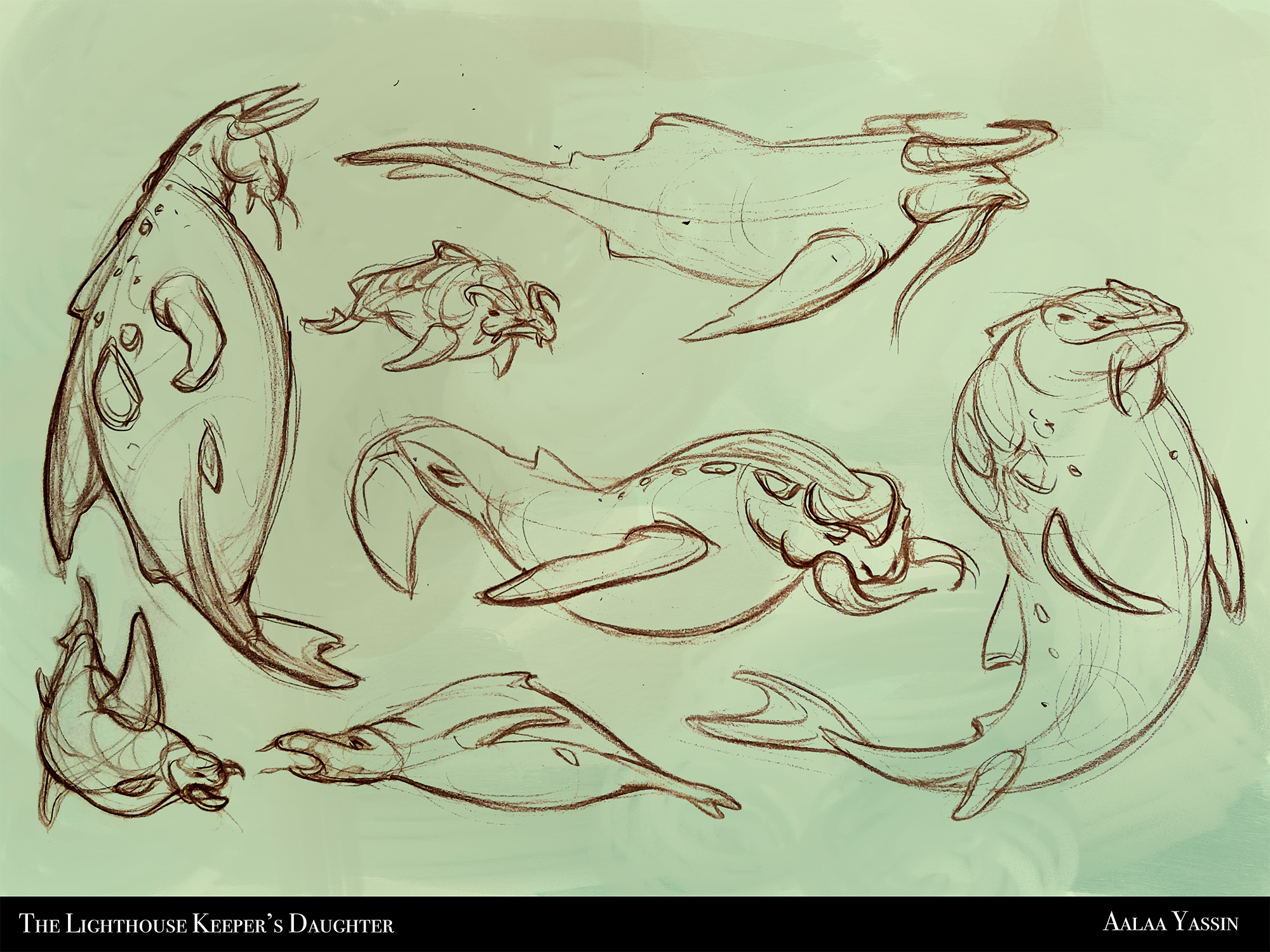 seacow explorations compressed.png