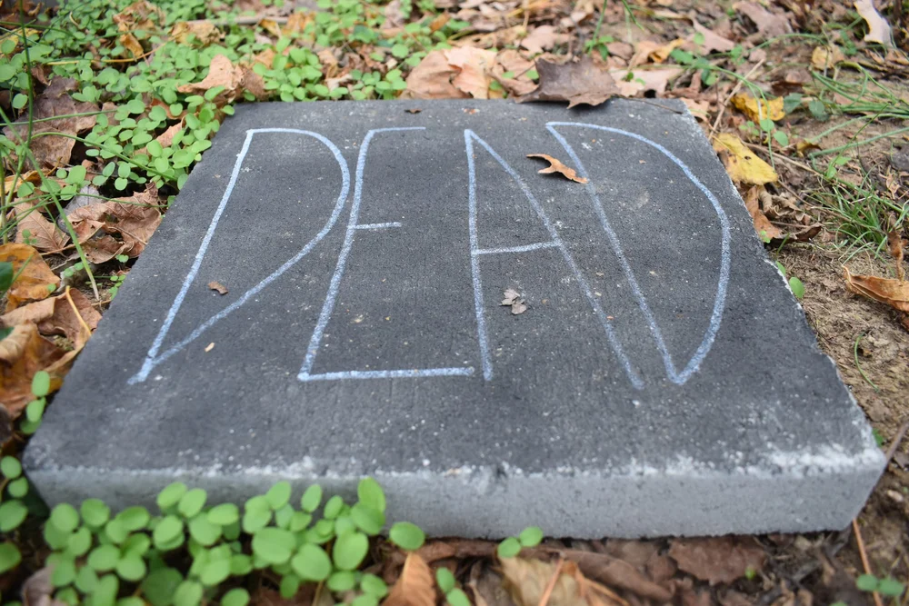  a step stone that reads “DEAD” in all caps 