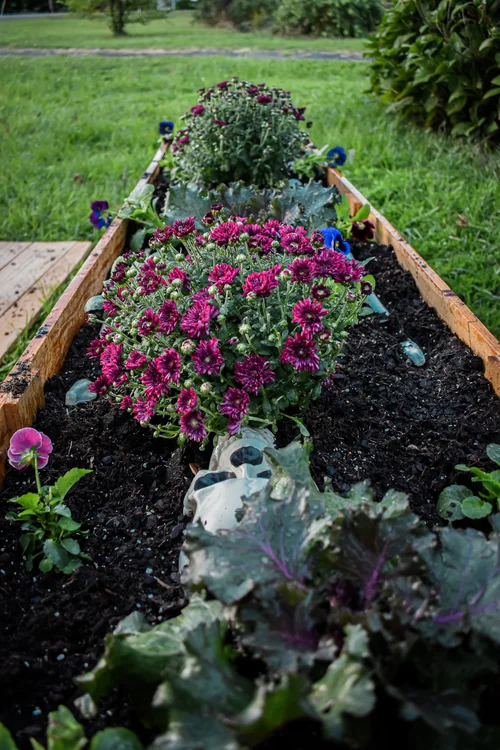 Coffin Planter Box  Sassafras Farmhaunts