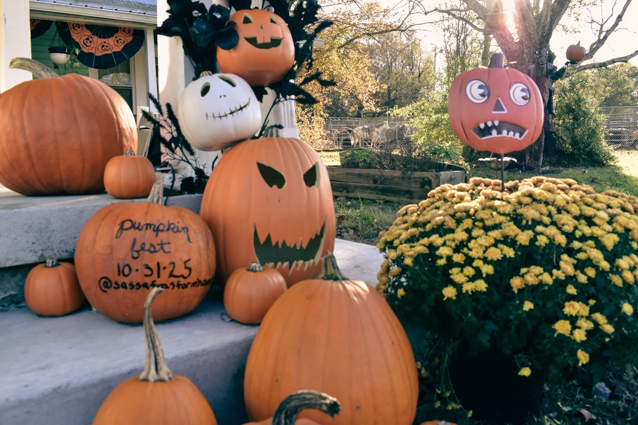 PumpkinFest Party