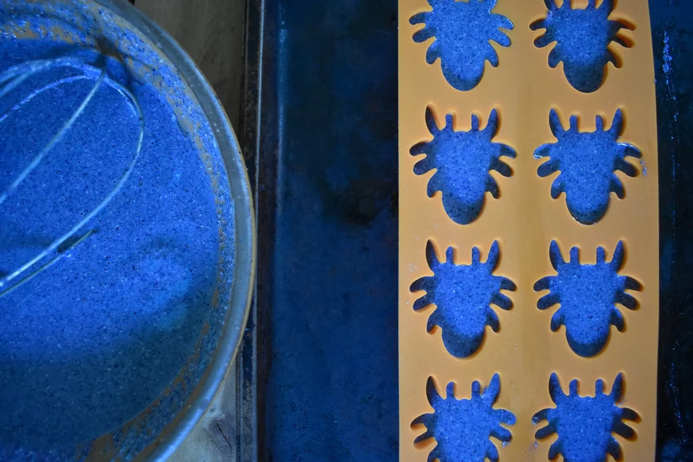 Cornbread Spiders — Sassafras Farmhaunts
