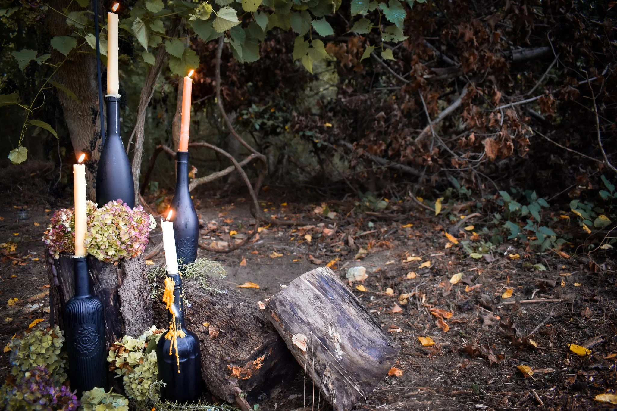 set of black wine bottles with taper candles in the woods