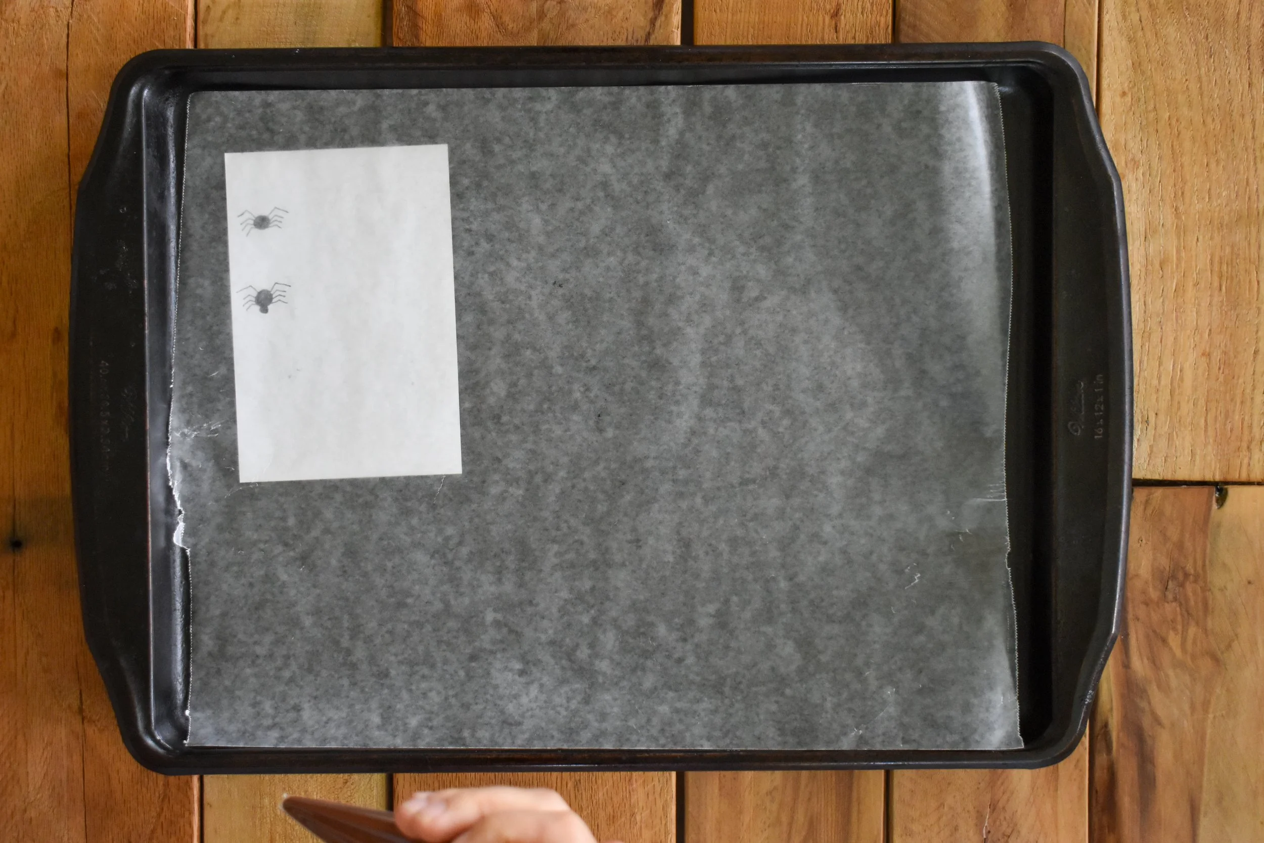 A sheet pan with a spider stencil under a piece of wax paper