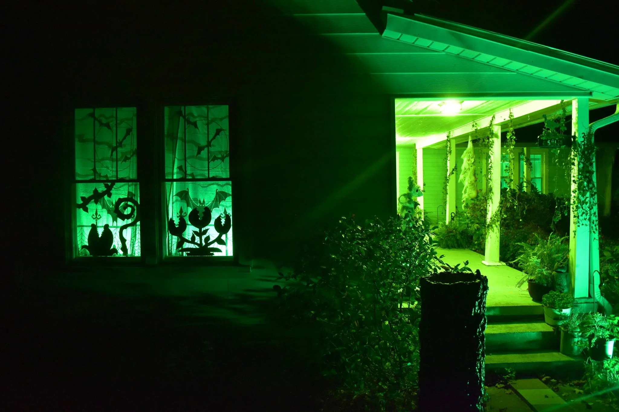 front of a house with green lights and carnivorous plant silhouettes in the window