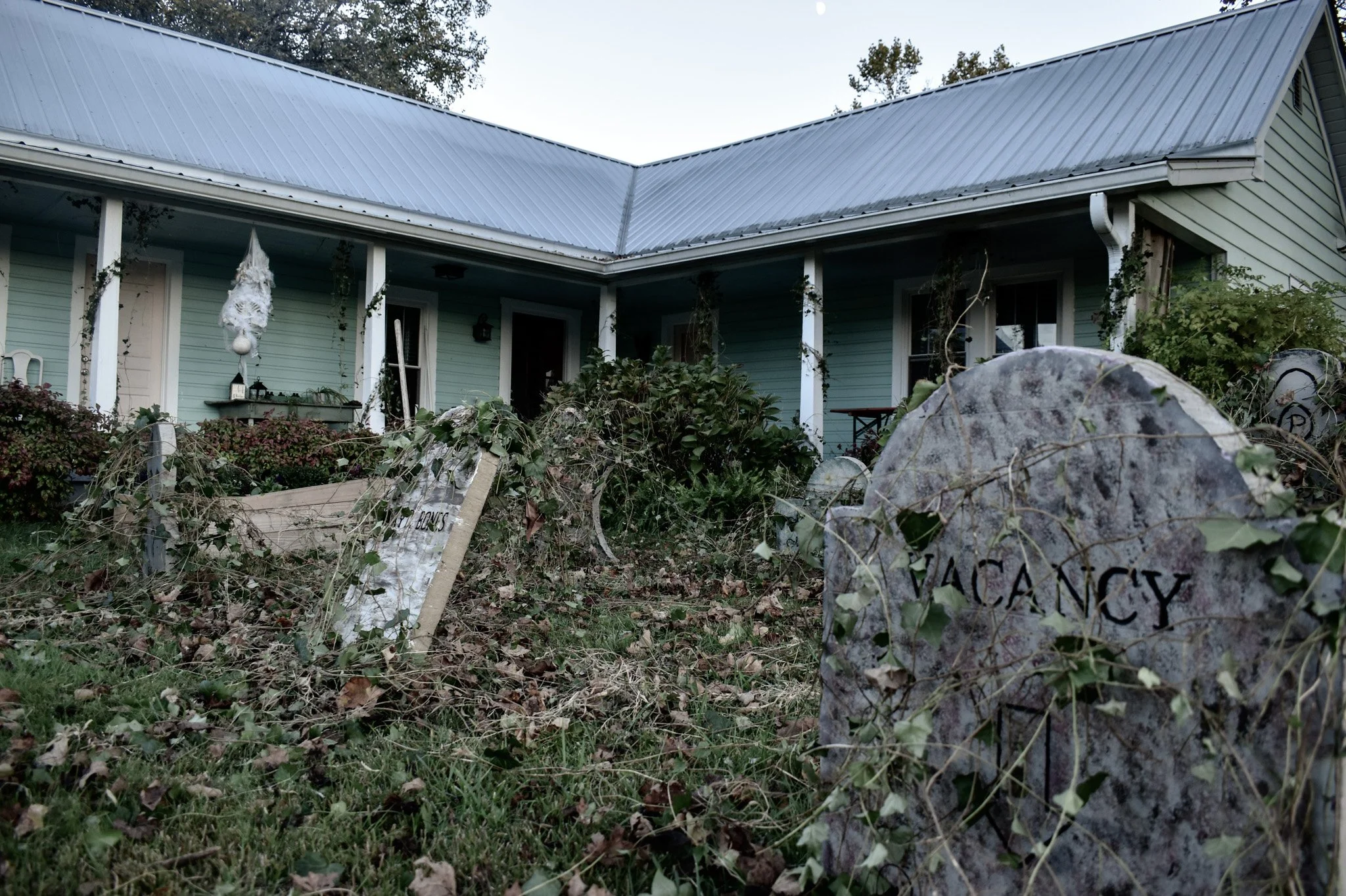 graveyard covered in vines