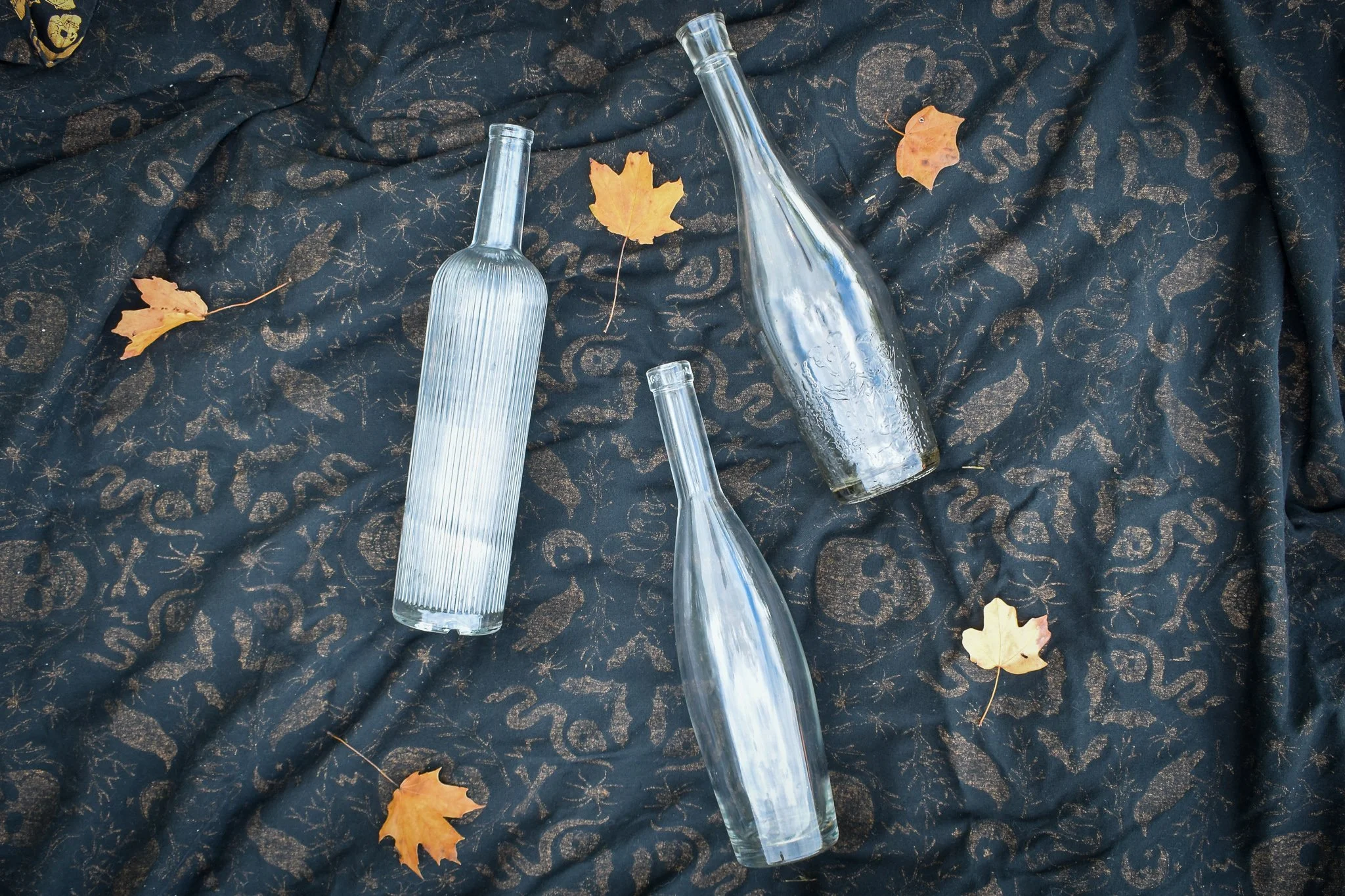 clear wine bottles on a black background