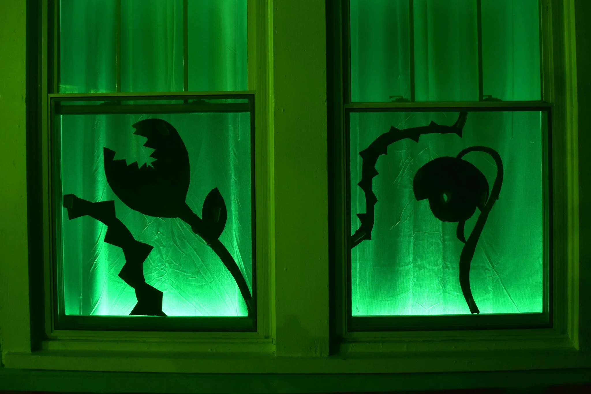 carnivorous plant silhouettes in a window with green lighting