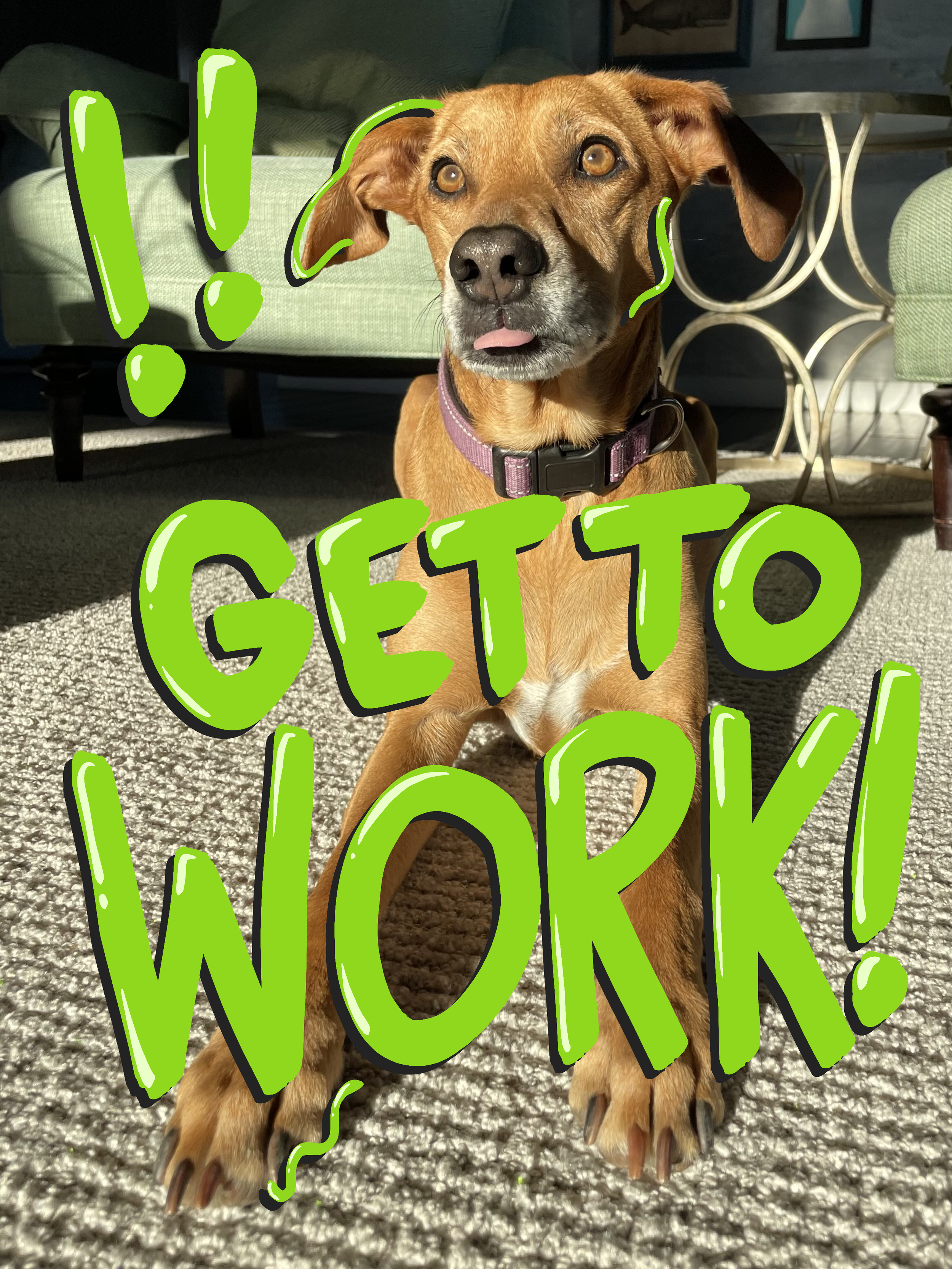 Koral Get To Work.png