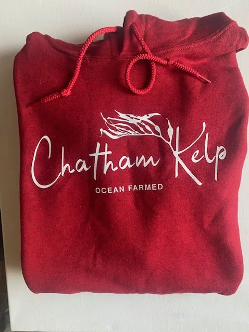 Chatham Kelp Frontside Hoodie