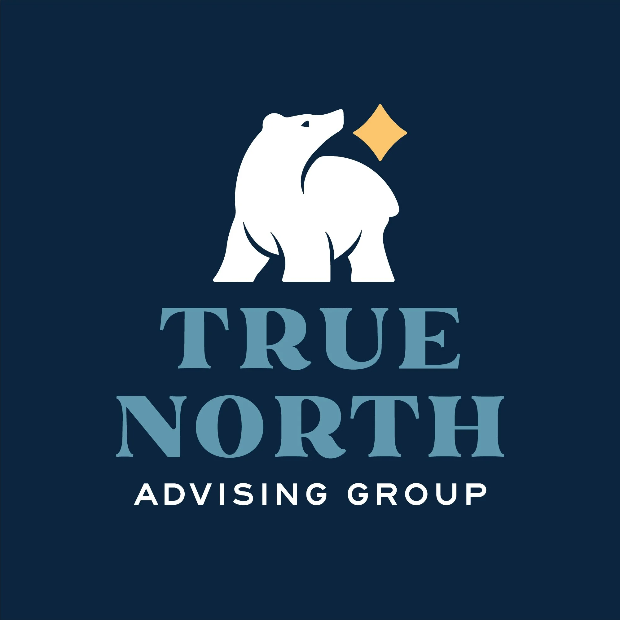 True_North_Logo_Dark_Blue_Logo.jpg