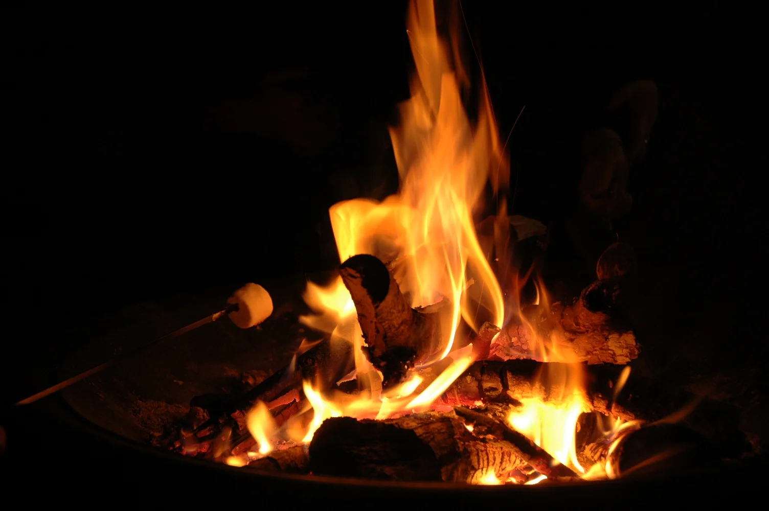 Save the date: LGBTQ tamale night &amp; bonfire Dec 3