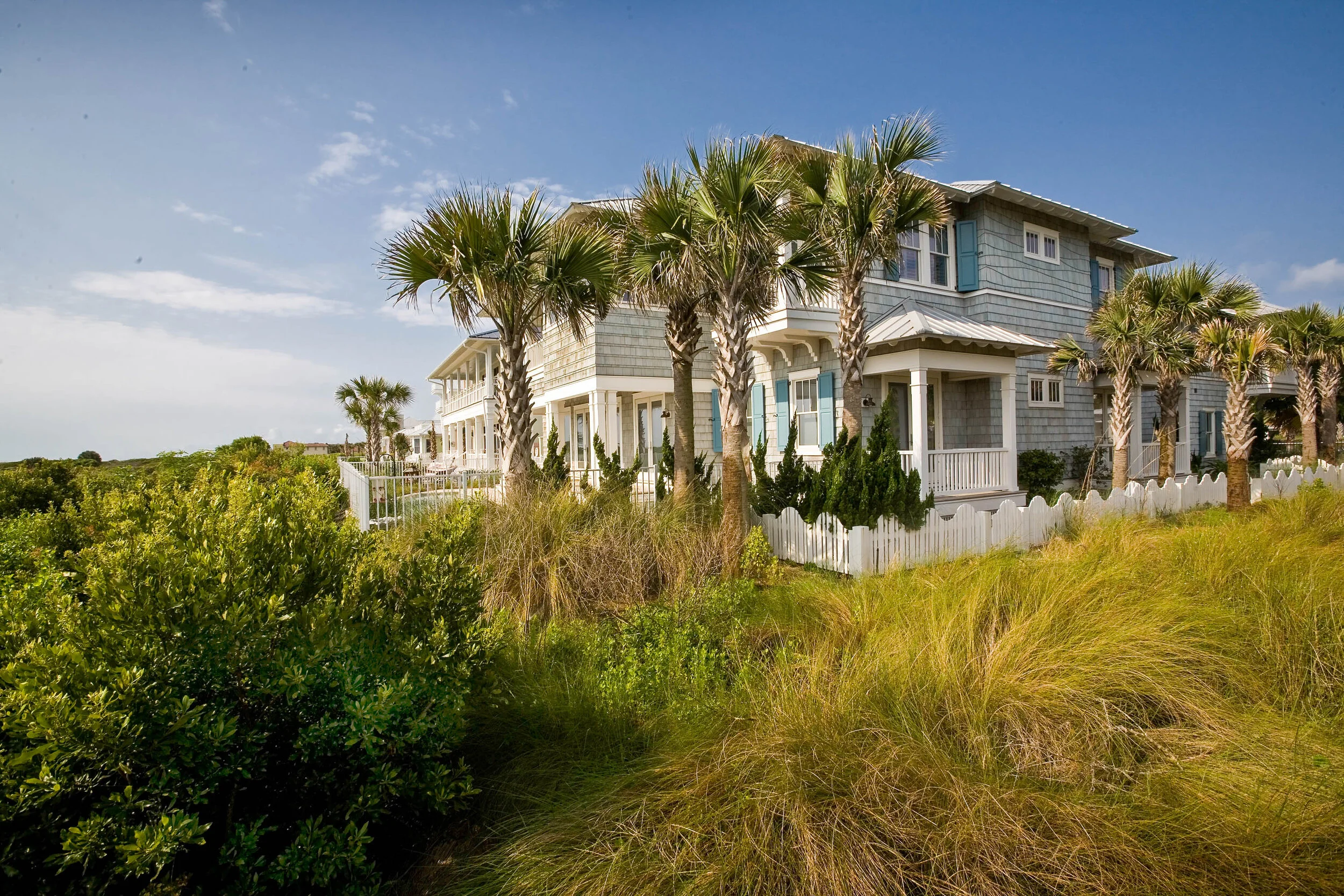 Sea Colony