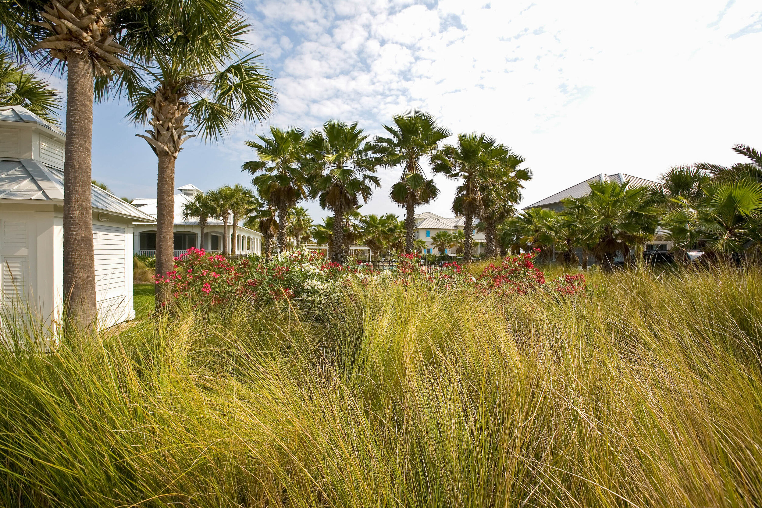 Ethnobotany in Landscape Architecture, Part One: Introduction