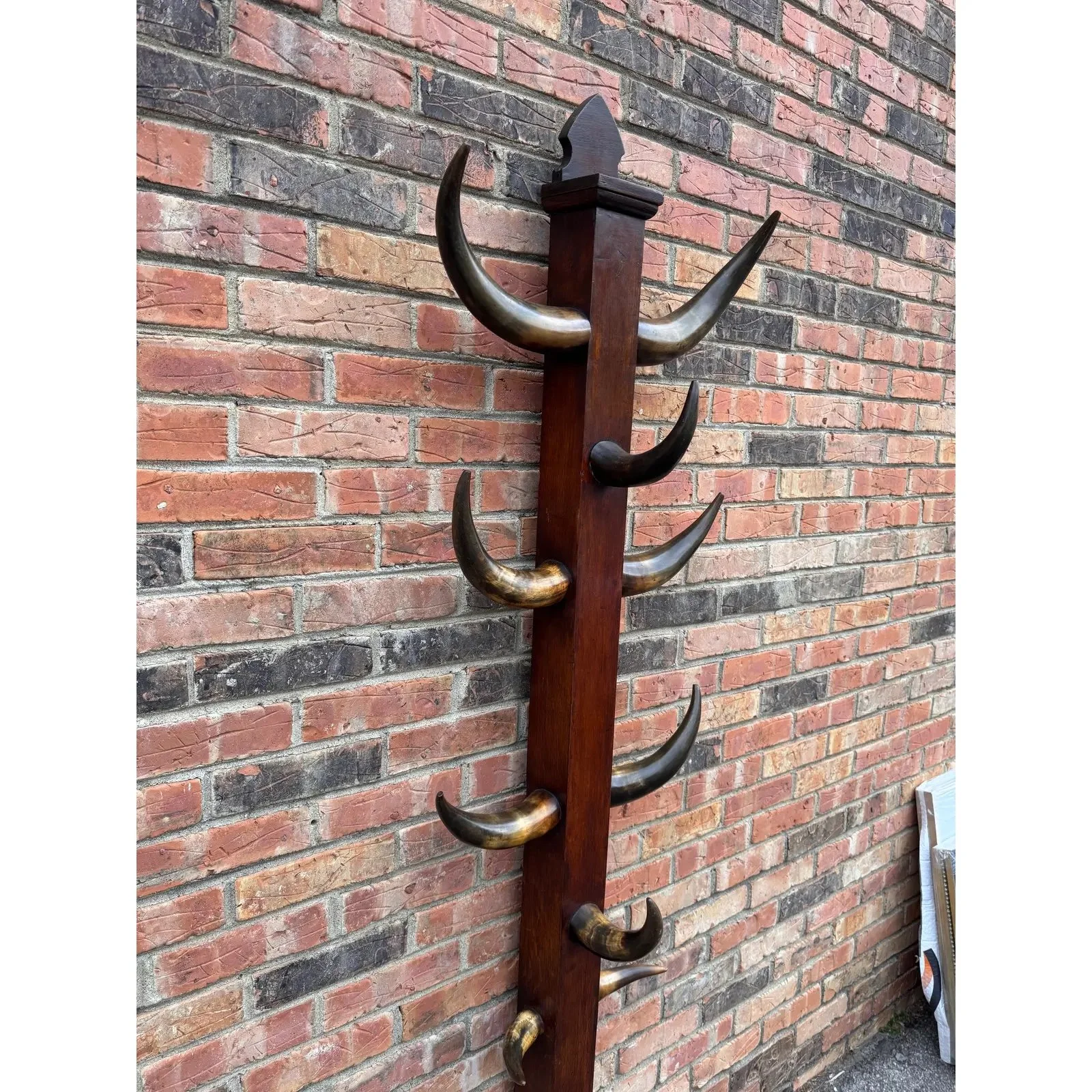 Image 1-19-26 at 1.51 PM (1).jpg